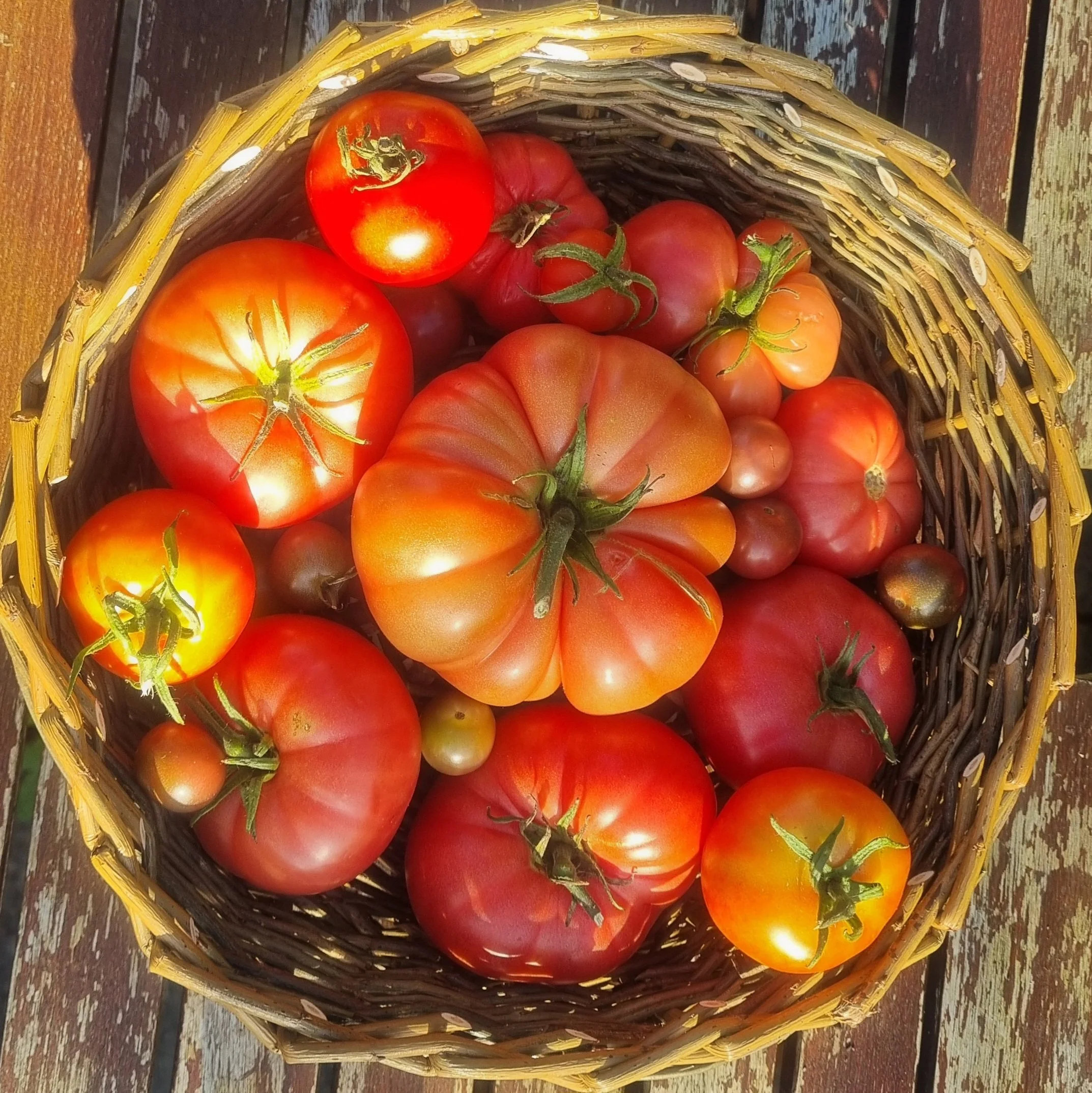 Easy Tomato pasta sauce