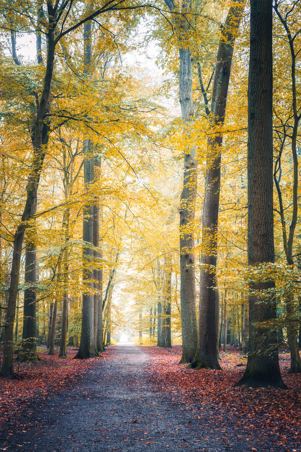 _D9A3069-Bearbeitet.jpg