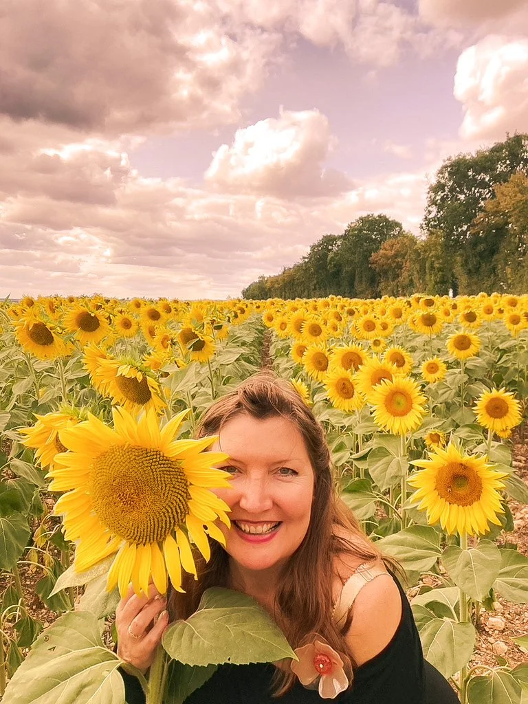 jacqueline-bonay-sunflowers-france.jpg