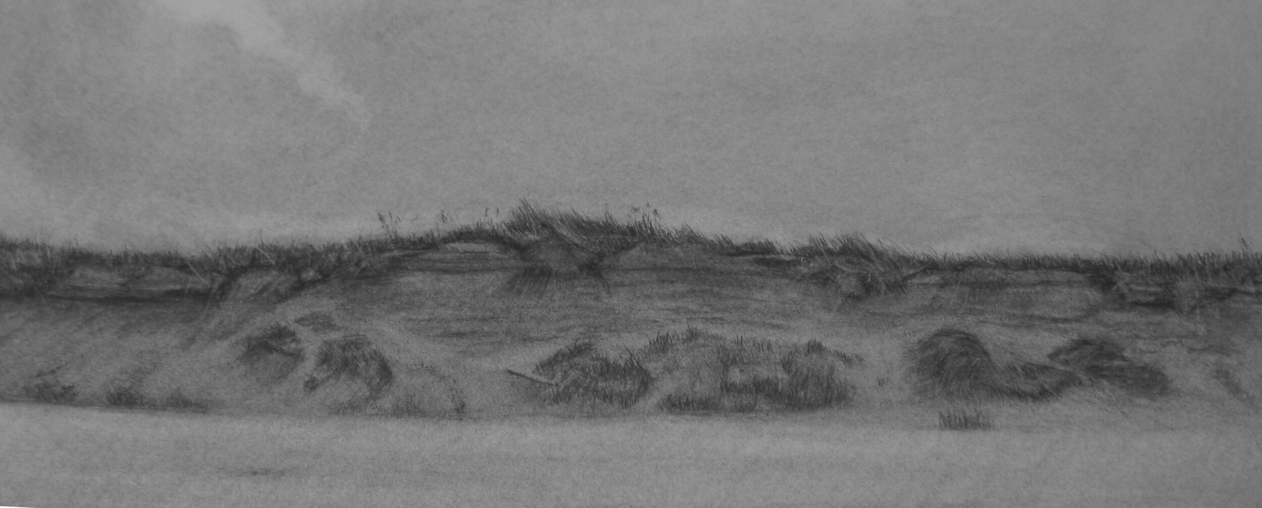 19.+Glow.+Charcoal+on+Arches+paper.+20x38cm.jpg