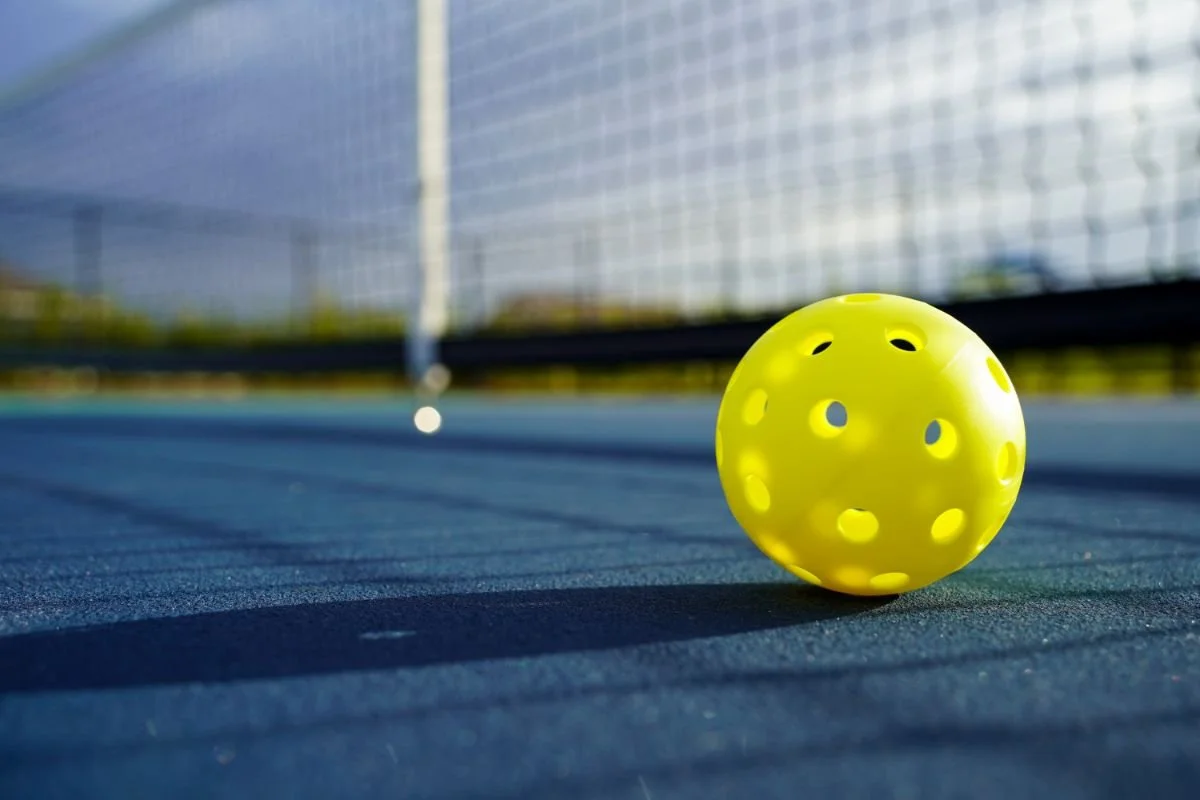 Everything You Need to Know About Pickleball Nets — Pickleball University