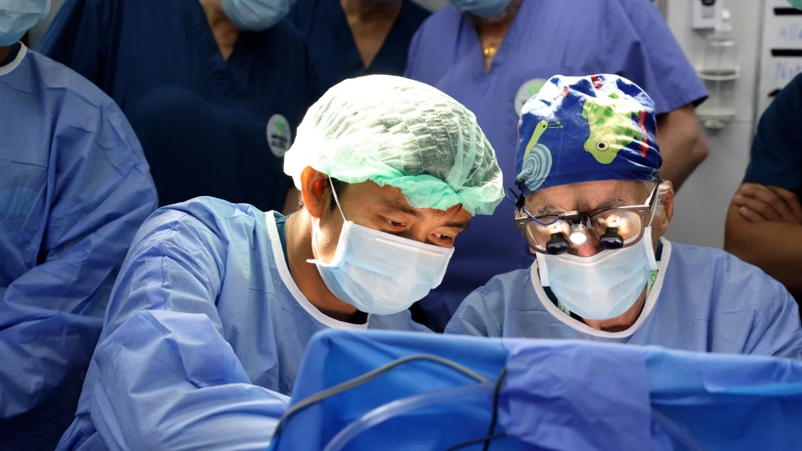 WhatsApp Image 2026-04-21 at 16.15.43 (3).jpeg