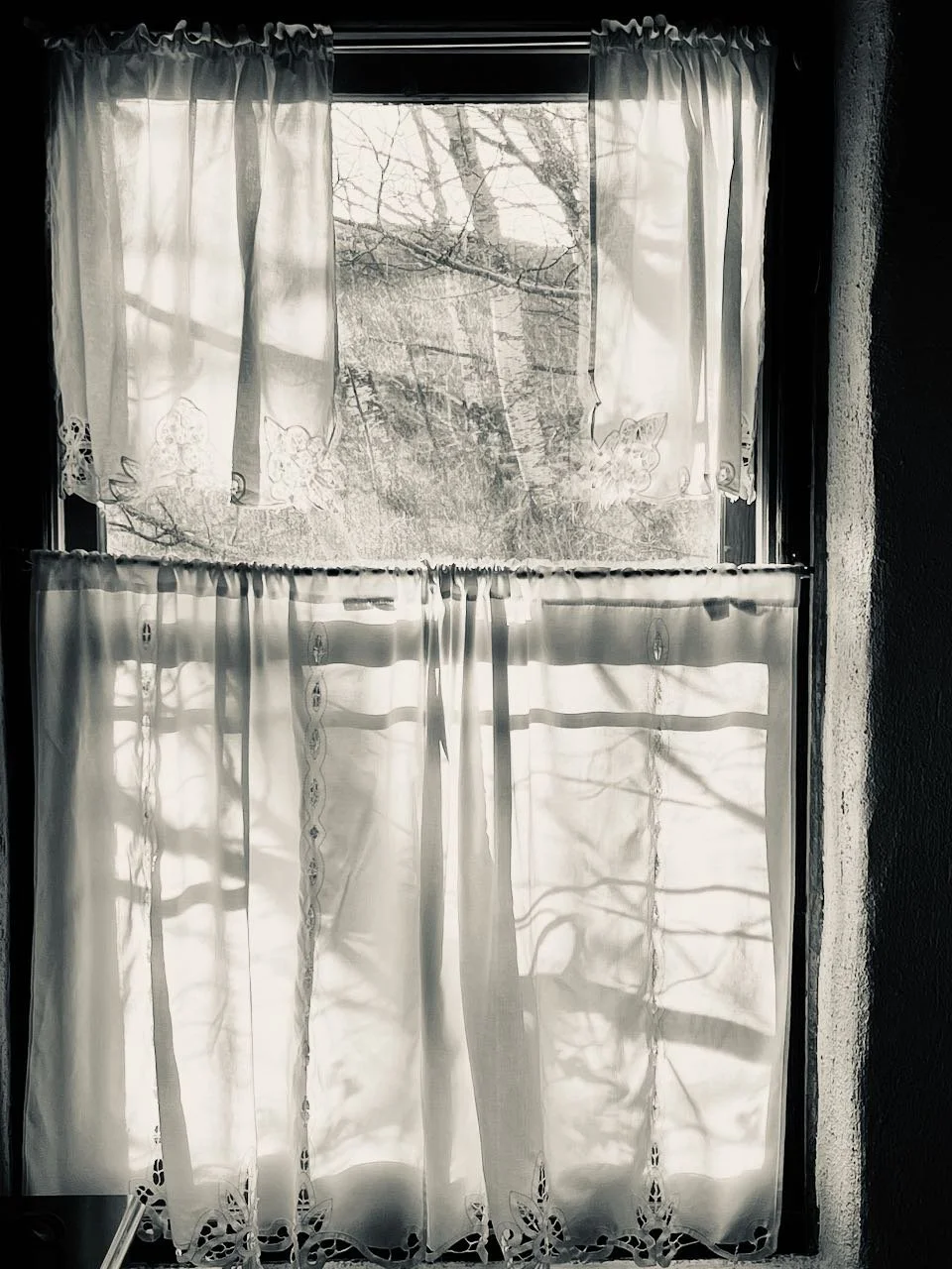 TAOS Balance (Single Room) March 22-28, 2026