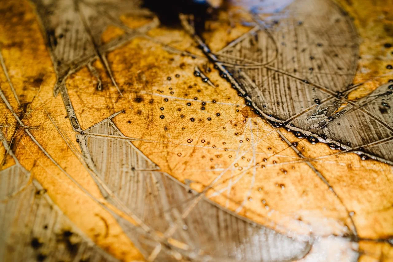 February 2026 Featured Artist | Marî Bohley