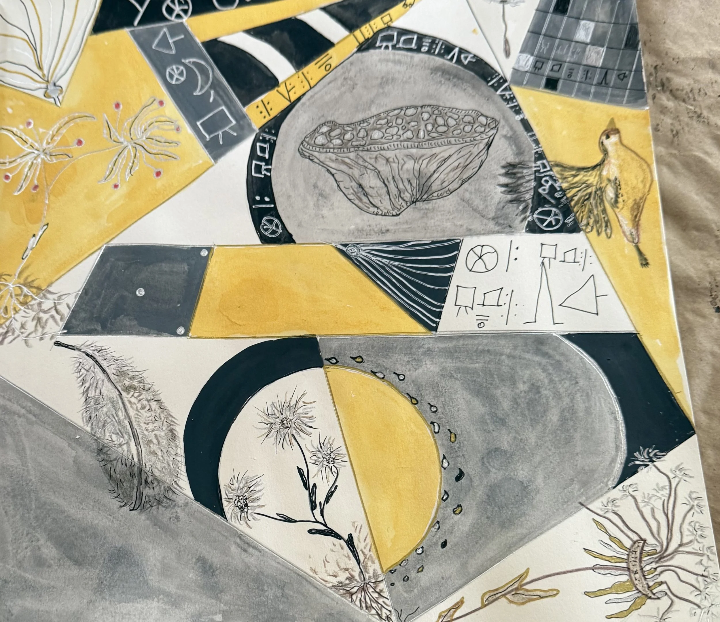 September 2025 Featured Artist | Jacqueline Muller