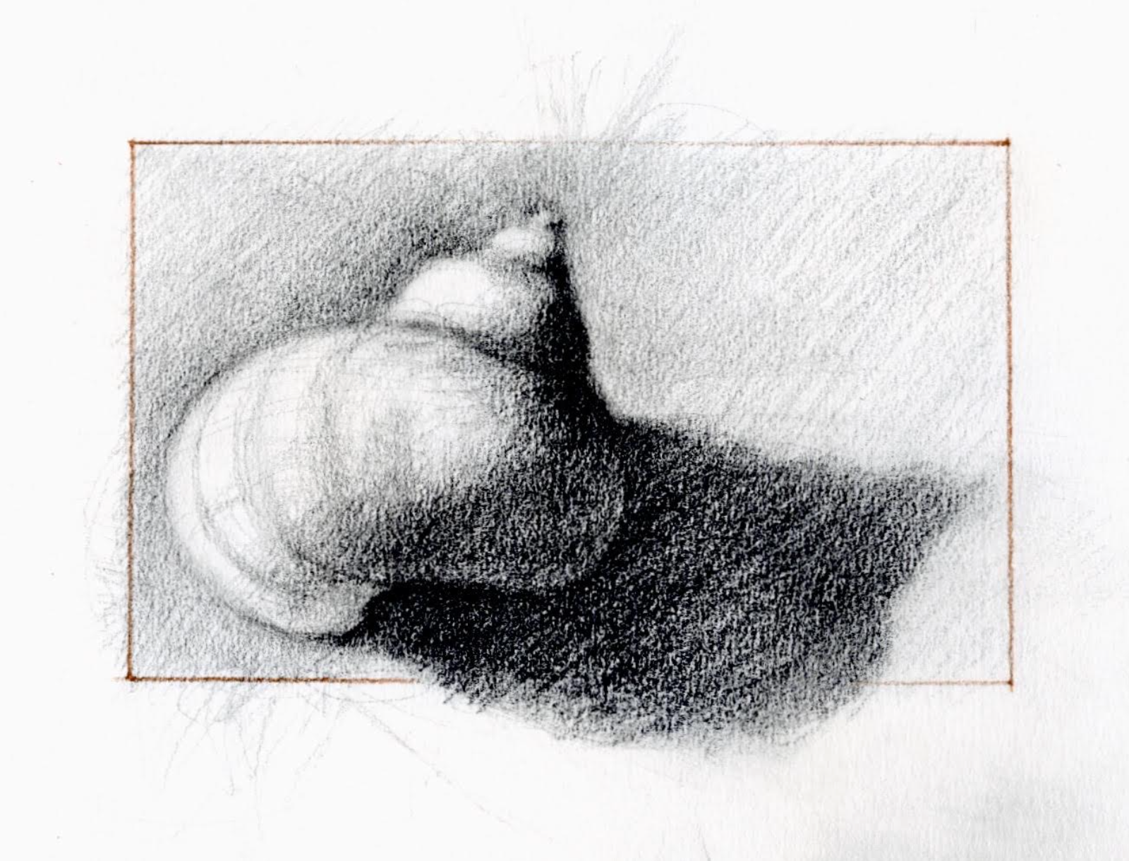 May  2026 Featured Artist | Laura Marshall