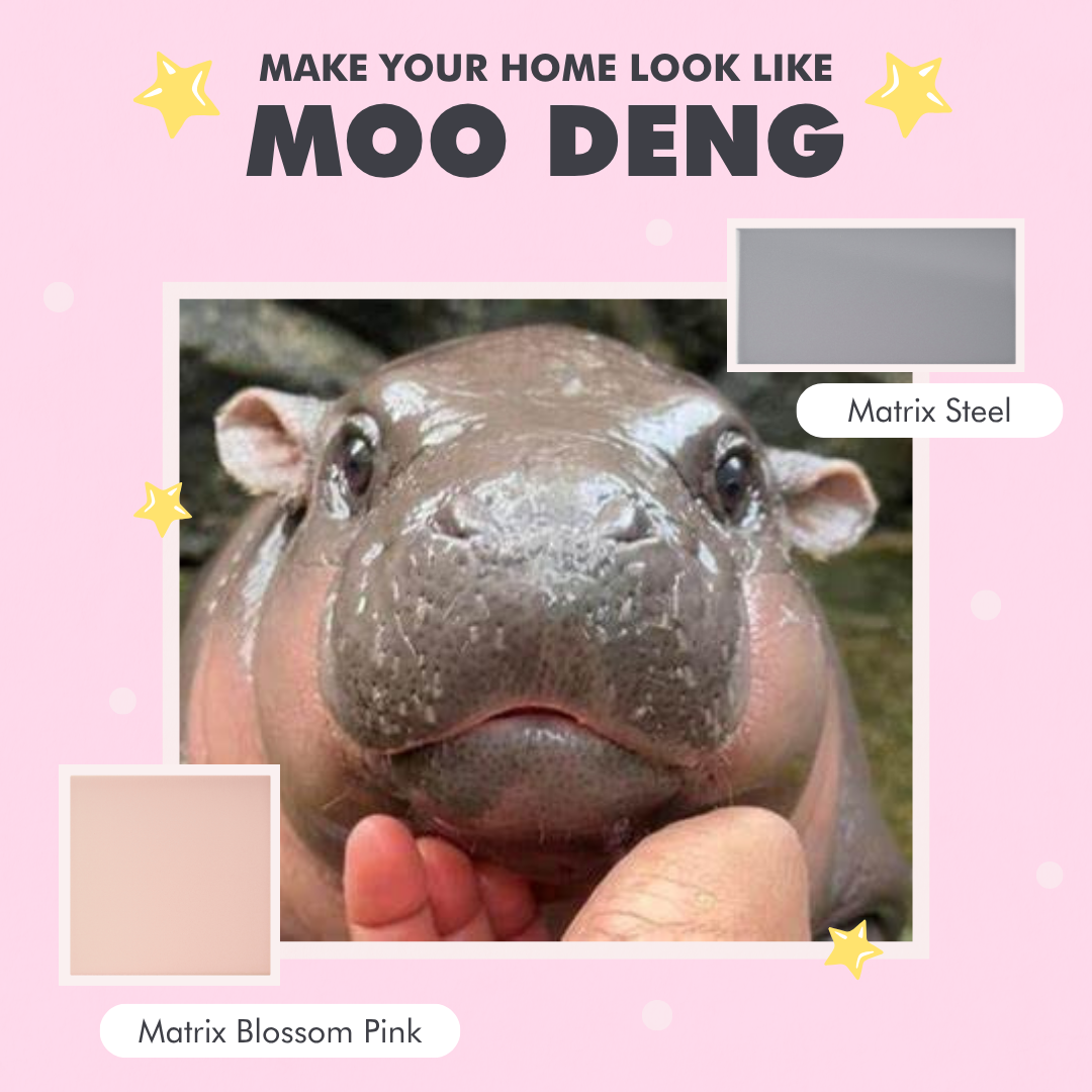 MAKE YOUR HOME LOOK LIKE MOO DENG.png
