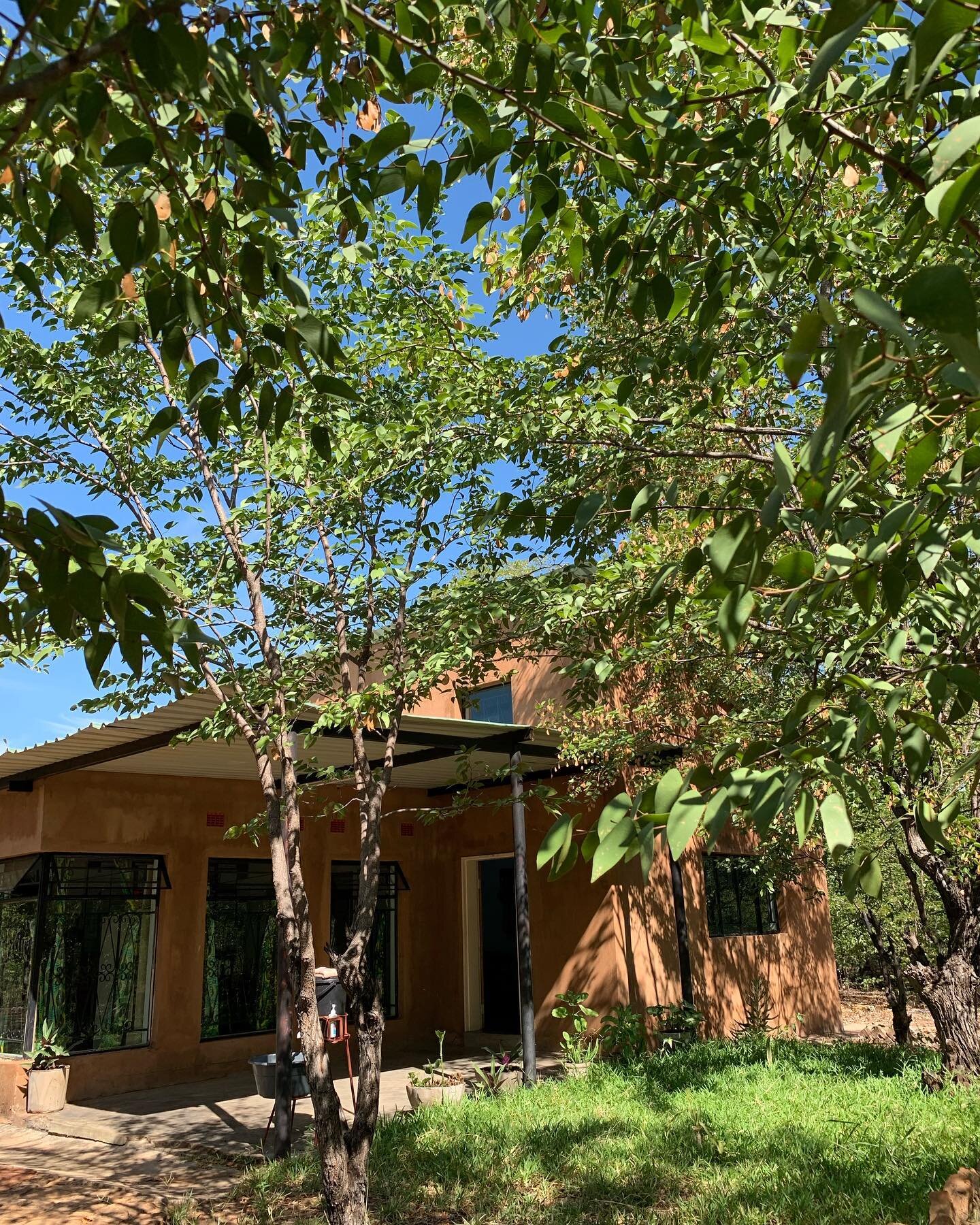 Good afternoon from our beautiful Textile Studio amongst the Mopane Trees. We are hiring! Scroll through the carousel to see our job opportunities. There are only 3 days left!