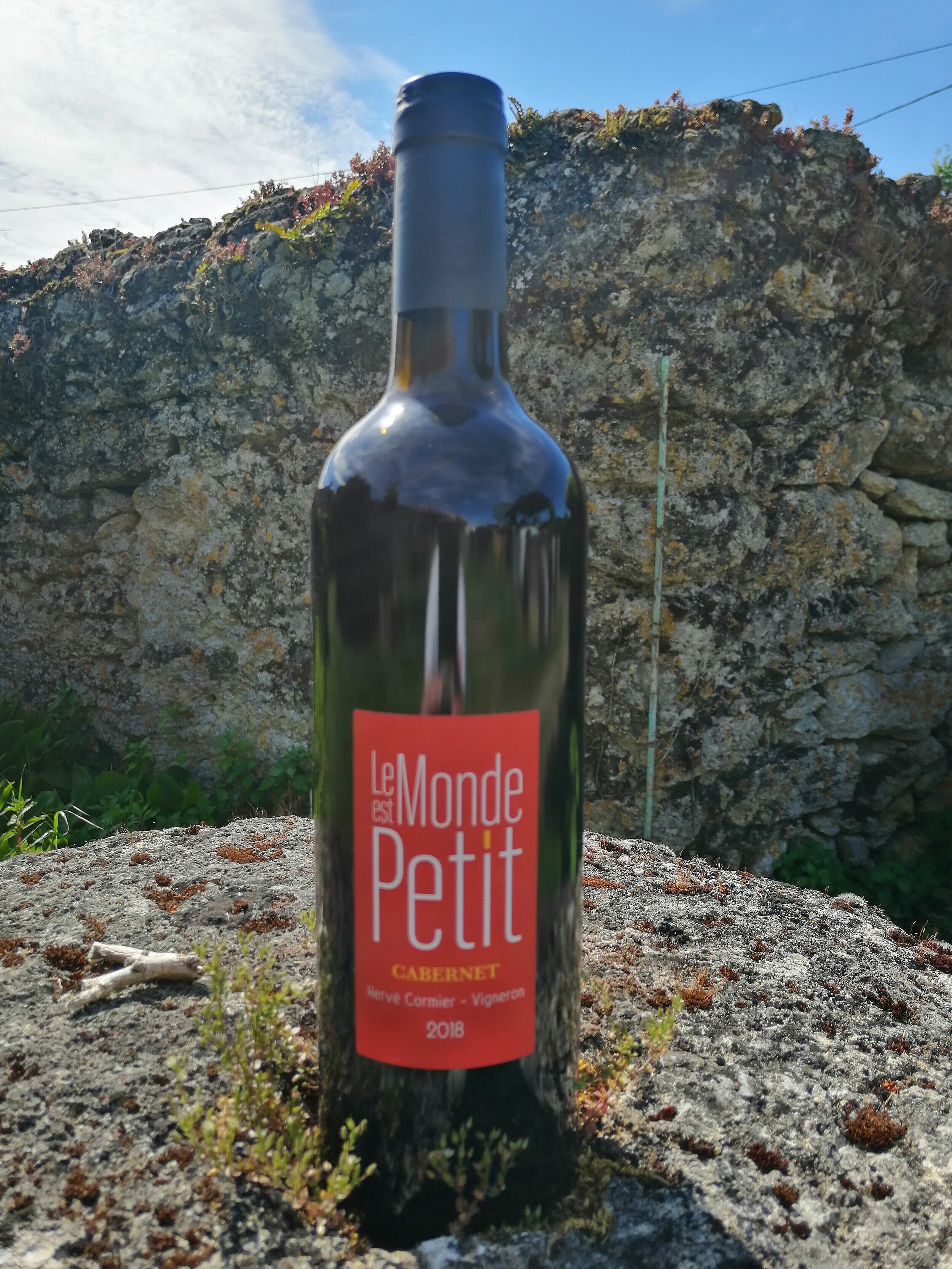 Cabernet franc (Tigné) 2018