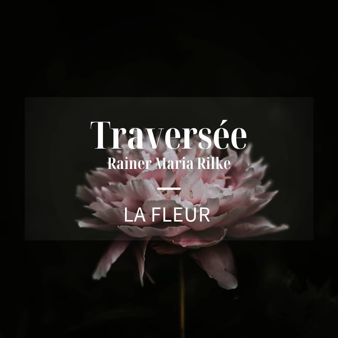 Une exp&eacute;rience hypnotique en trois temps : S'abandonner, mourir, c&eacute;l&eacute;brer. 
Une proposition qui m&eacute;lange hypnose et la po&eacute;sie de Rainer Maria Rilke. 
3 audios de 30-40 minutes + fiche explicative
Disponible sur mon s