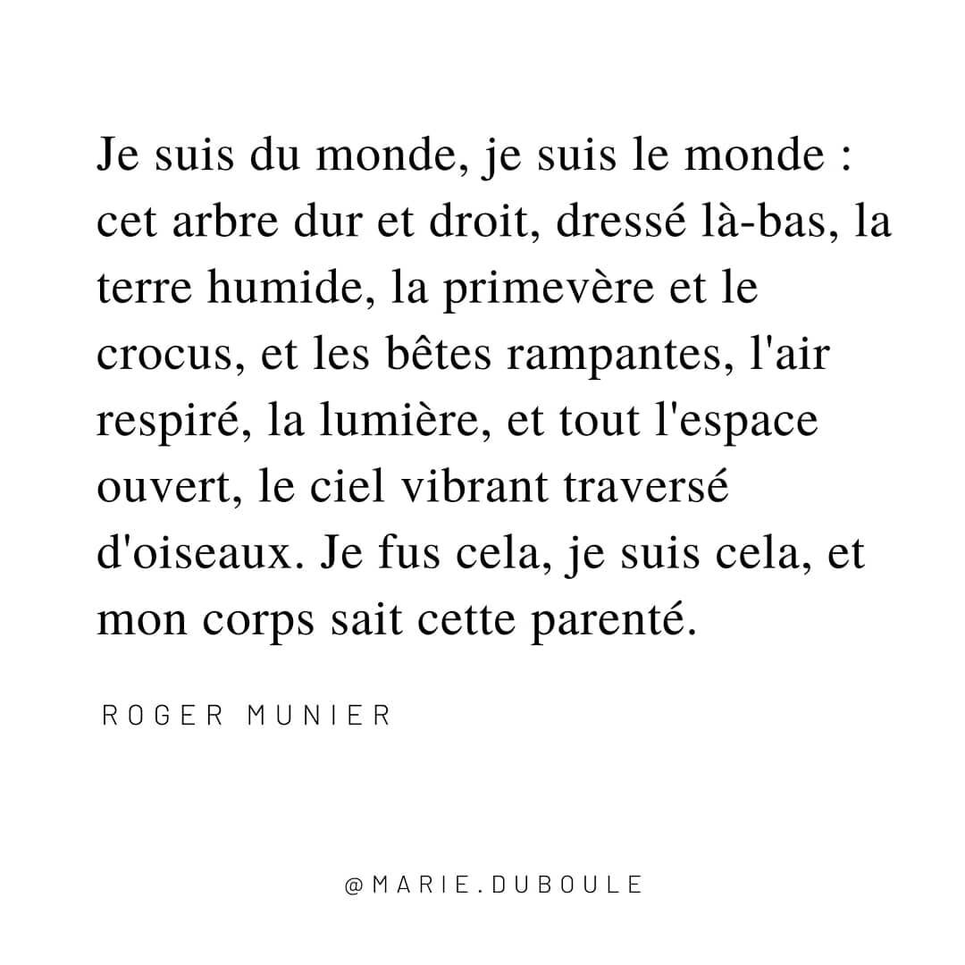 Roger Munier. 
&quot;Je suis du monde, je suis le monde&quot;
.
.
.
.
#vivant #poesie #rogermunier #nature #inconscient #invisible #citation