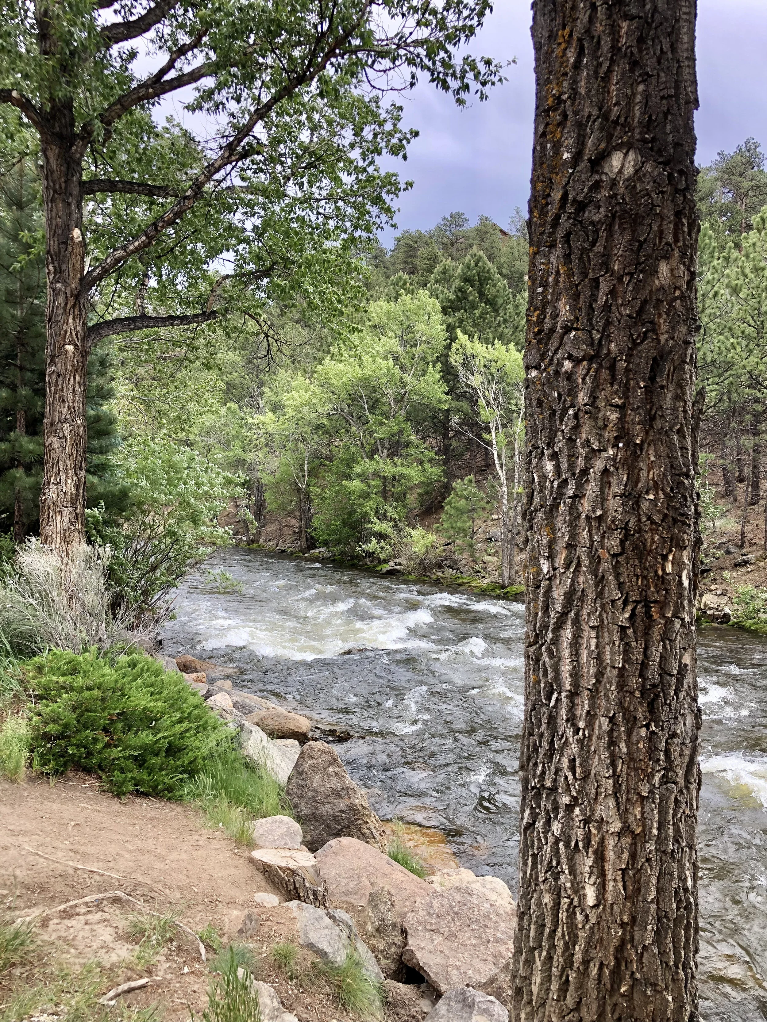 76F09513-9708-4F1D-B587-0CA7808F513C.jpeg