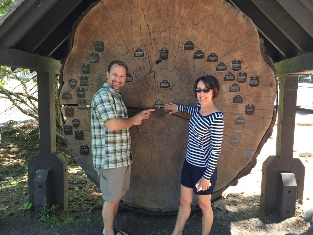 A very old tree slice.jpeg