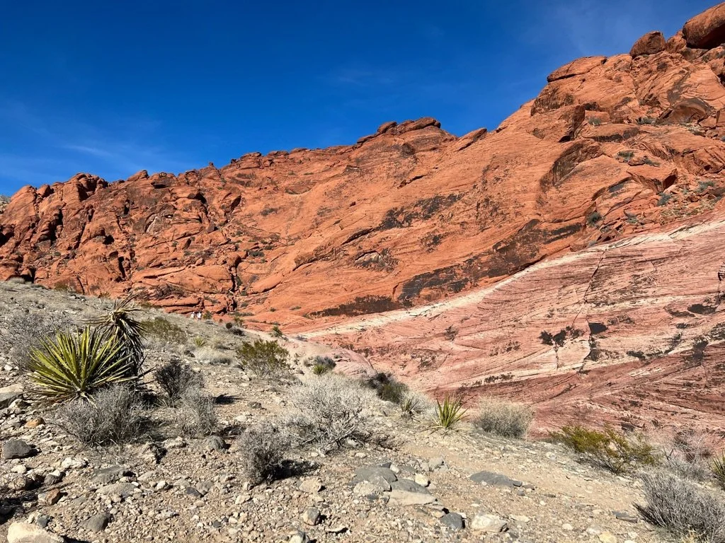Nevada.jpeg