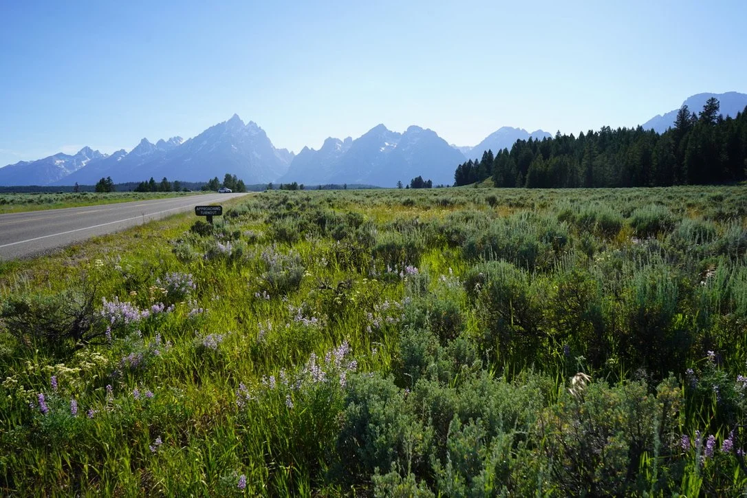 Tetons.jpeg