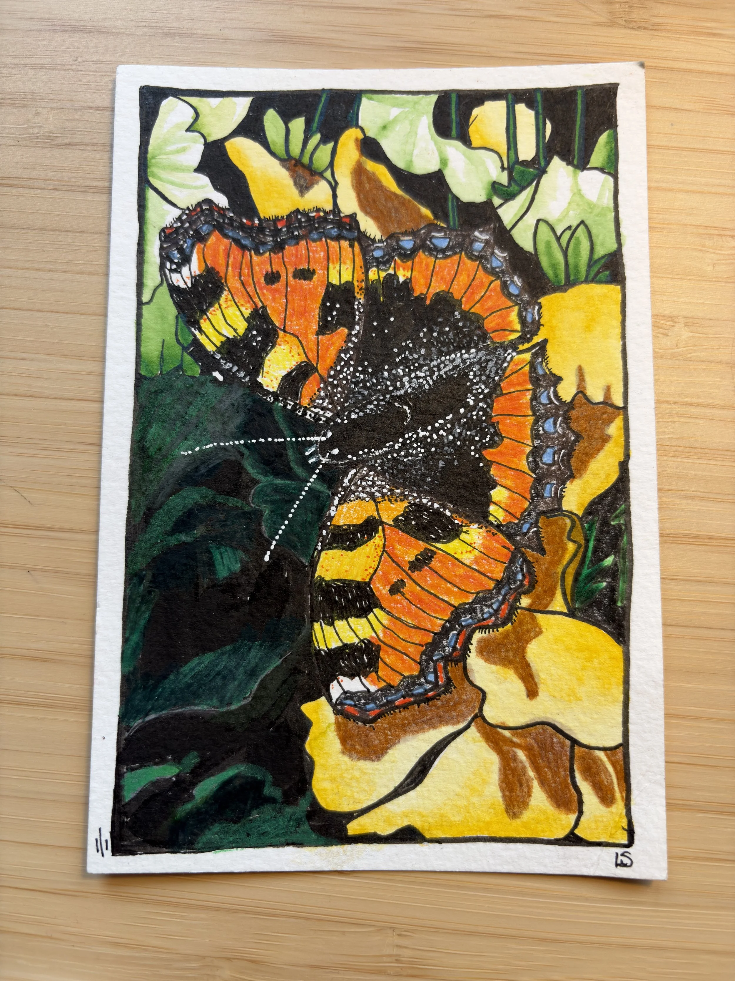 Original Postcard Art - Butterfly