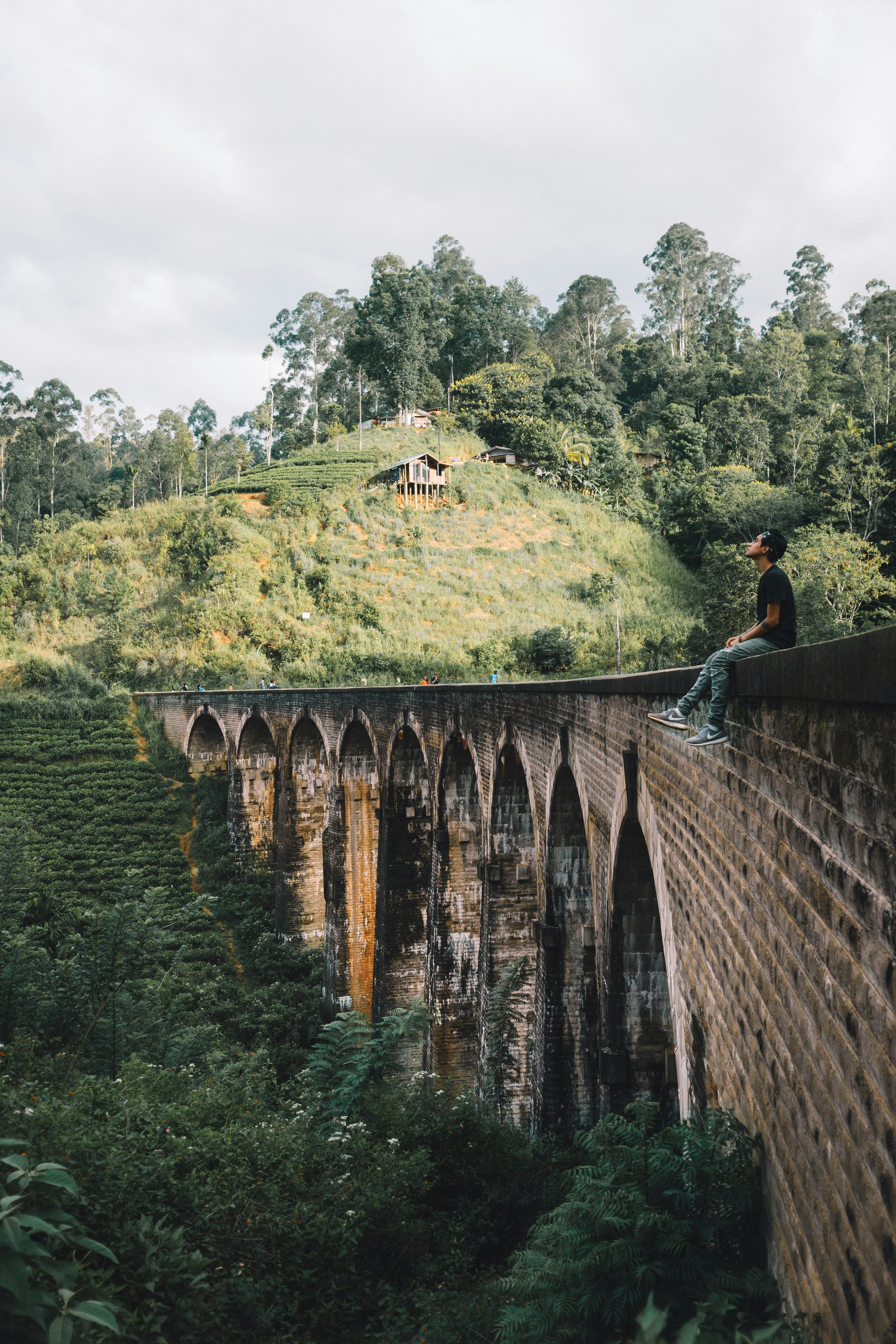 Why You Should Travel to Sri Lanka: The Jewel of the Indian Ocean