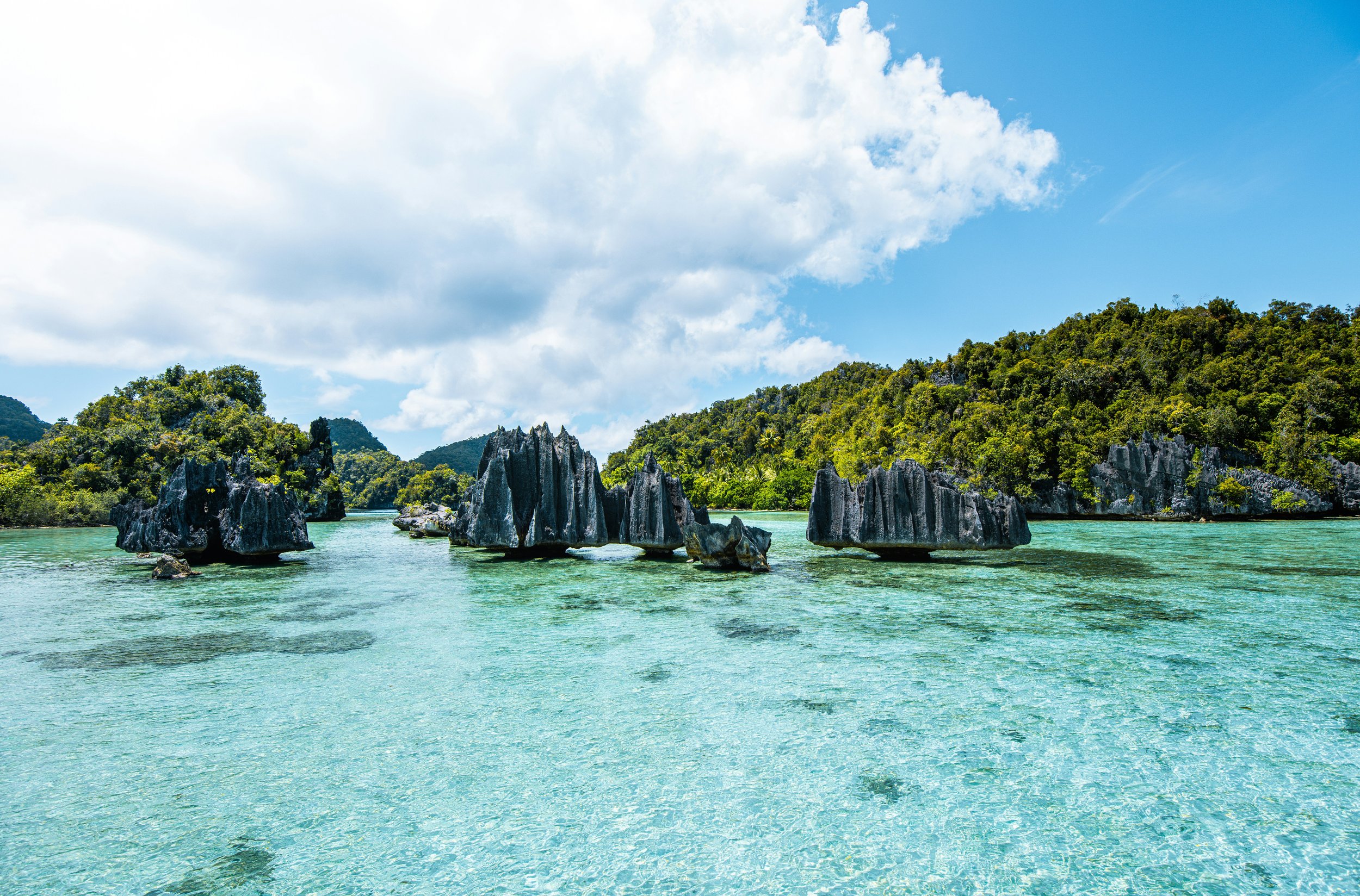 Here's why you should absolutely travel to Raja Ampat