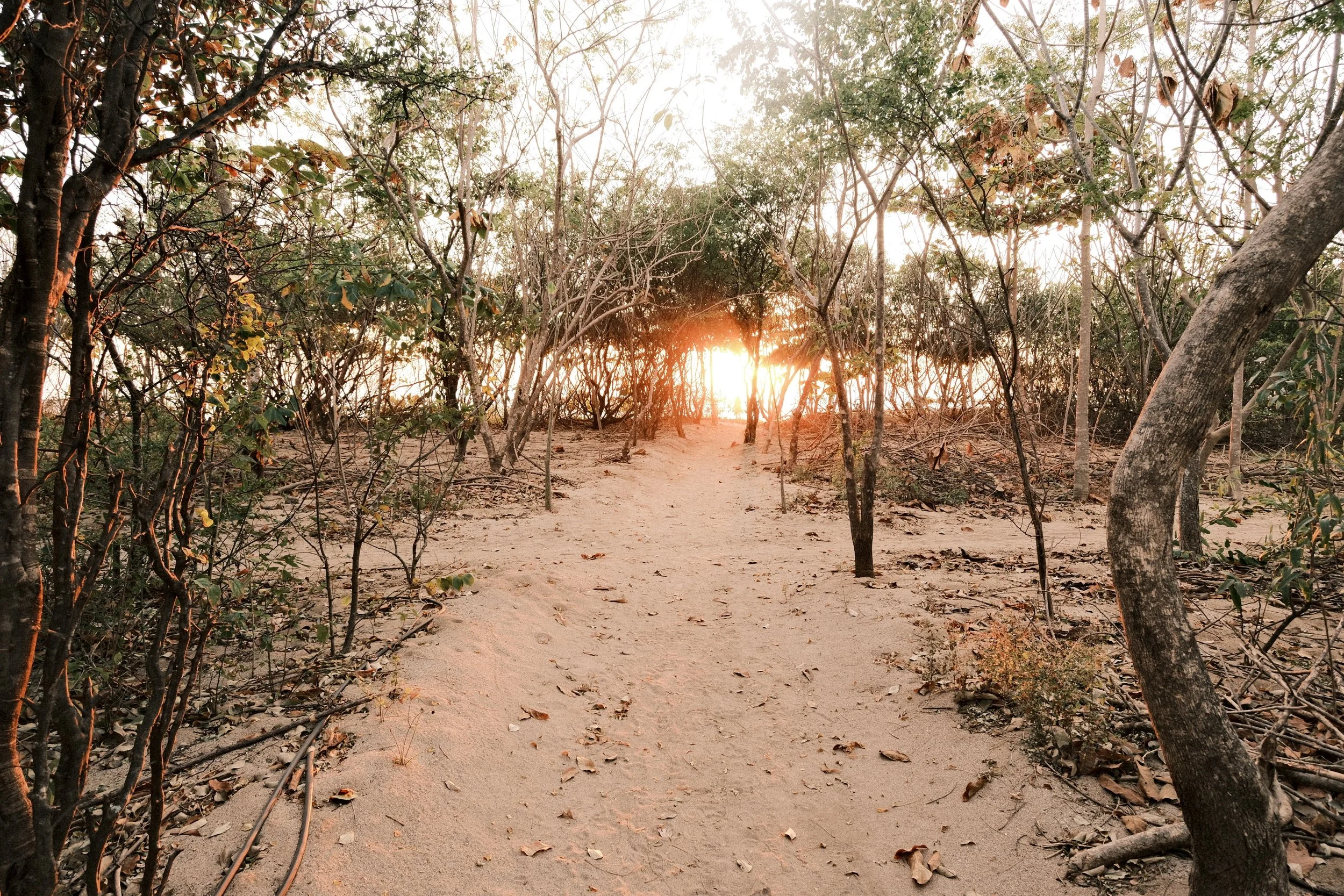 Moana Surf Resort – Nosara, Costa Rica