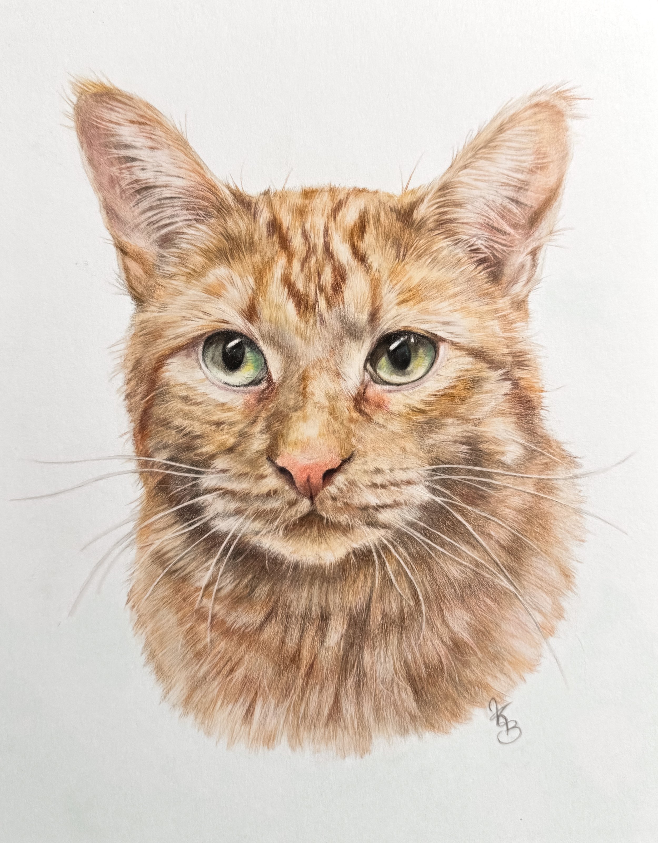 A realistic colored pencil drawing of a cat's face with detailed fur and green eyes, on a white background.