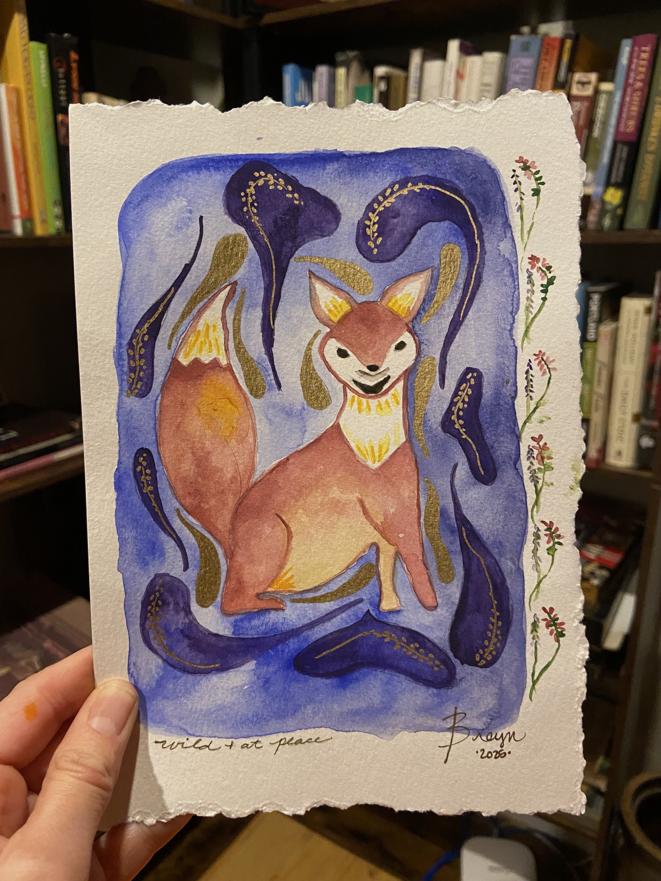 fox bookshelf.jpg