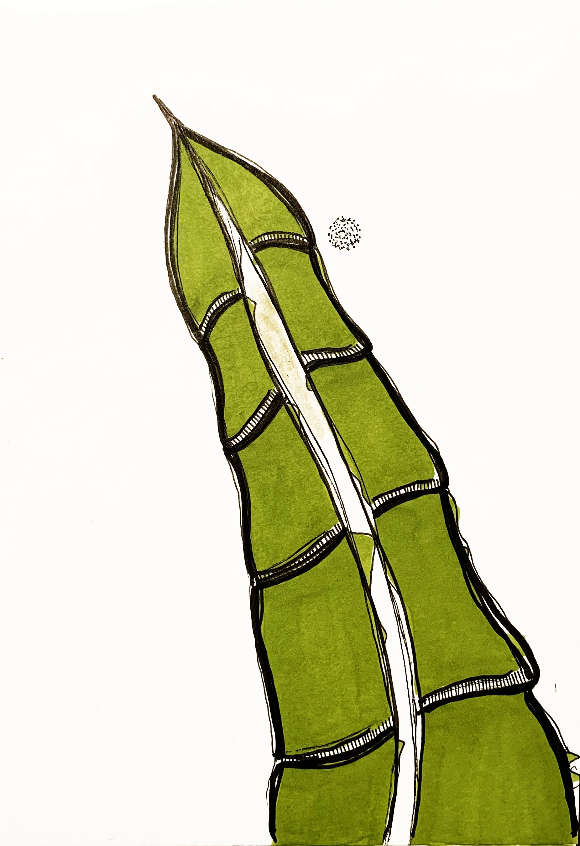  Aspargus  
 2023
 Marker & ink on paper