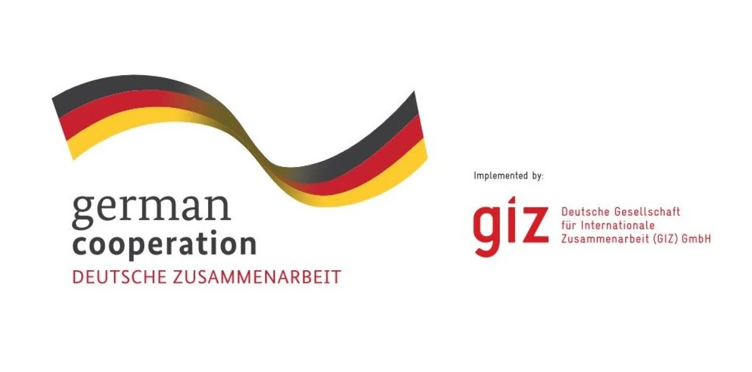 GIZ logo 2.jpeg
