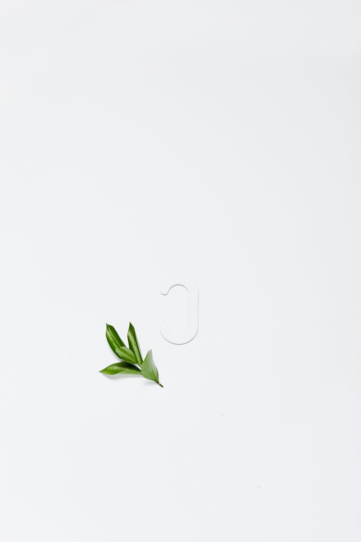 _V4A5214 web.jpg