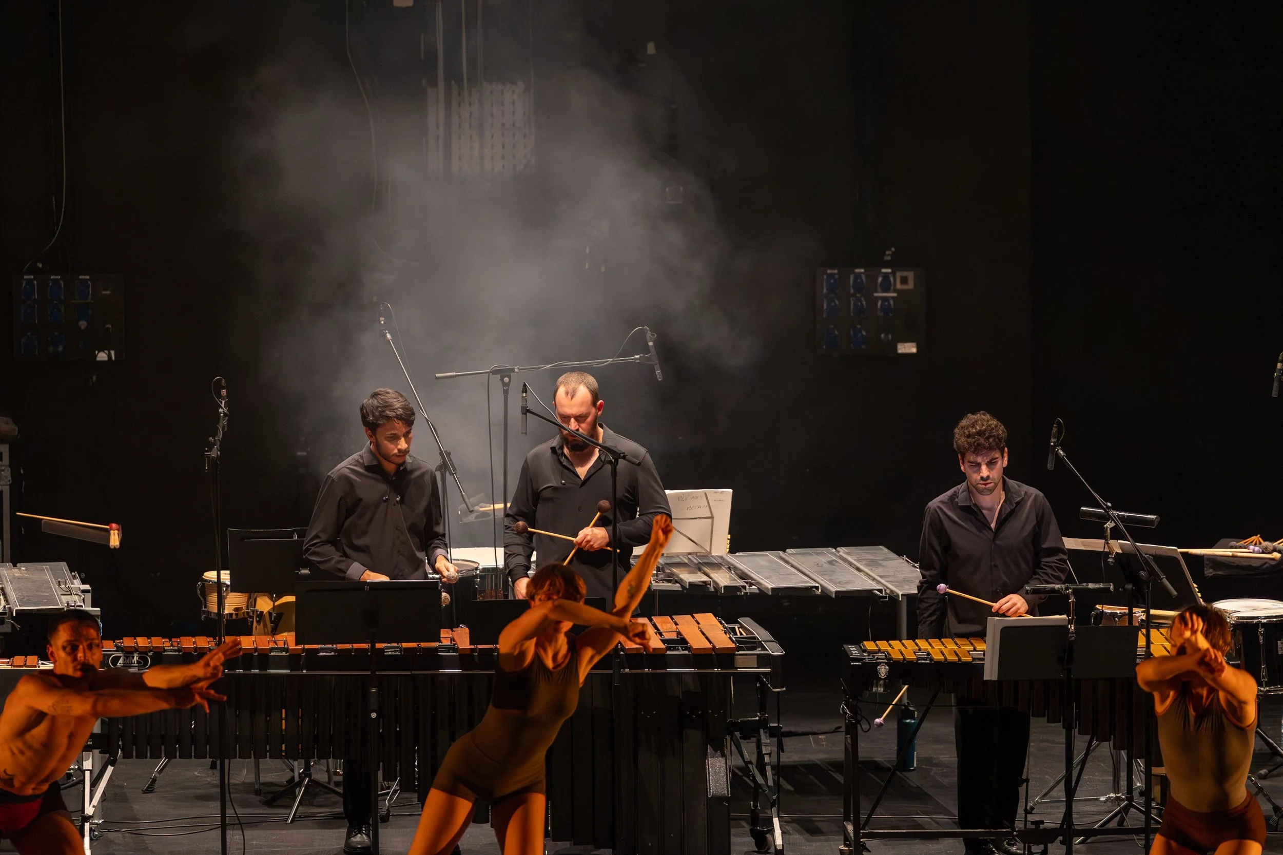 GRUPO DE PERCUSSÃO DA ORQUESTRA DE CÂMARA PORTUGUESA #5 • Uma Celebração de Steve Reich