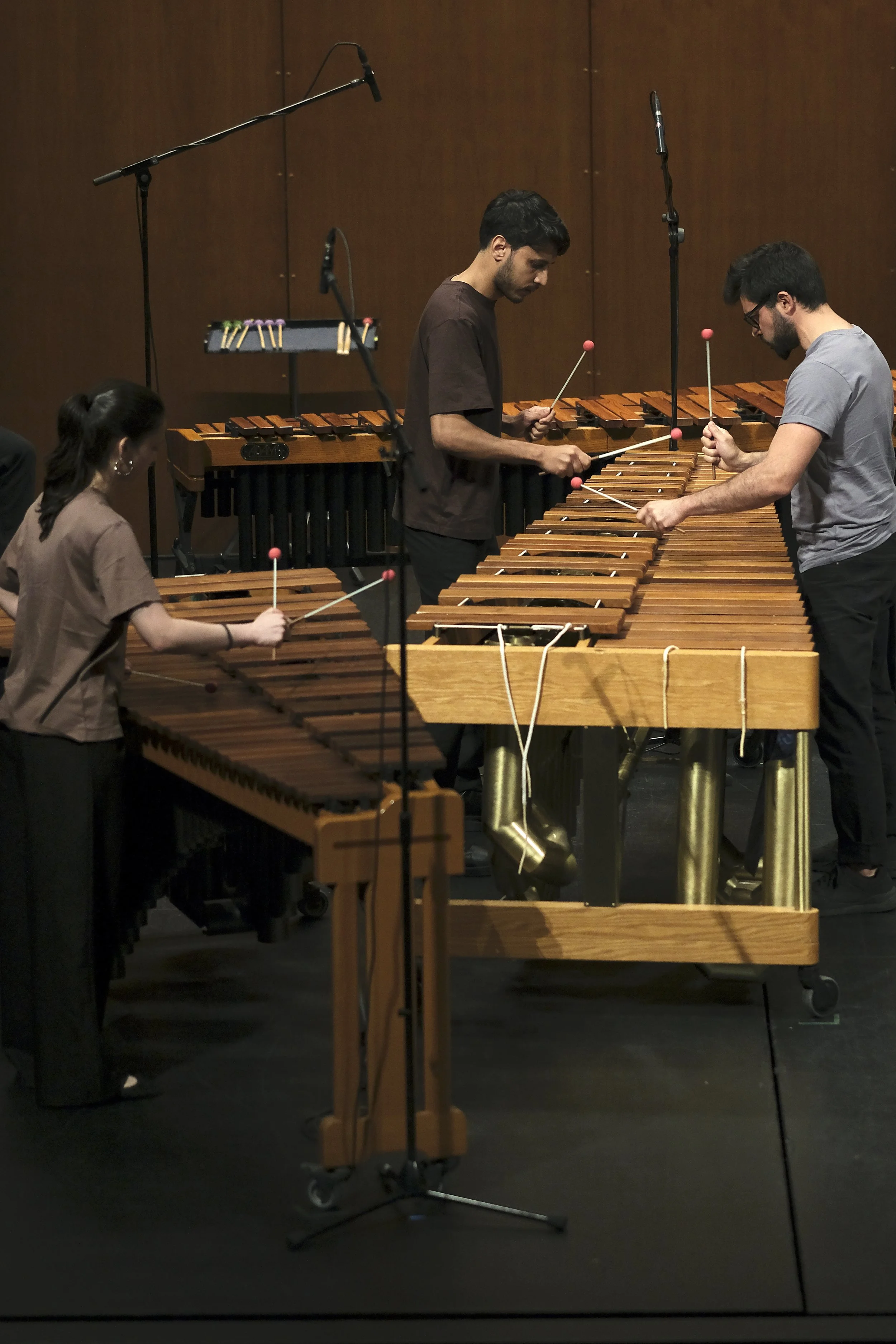 20260430_DesfazamentosSteveReich_PedroRosarioNunes_06.jpg