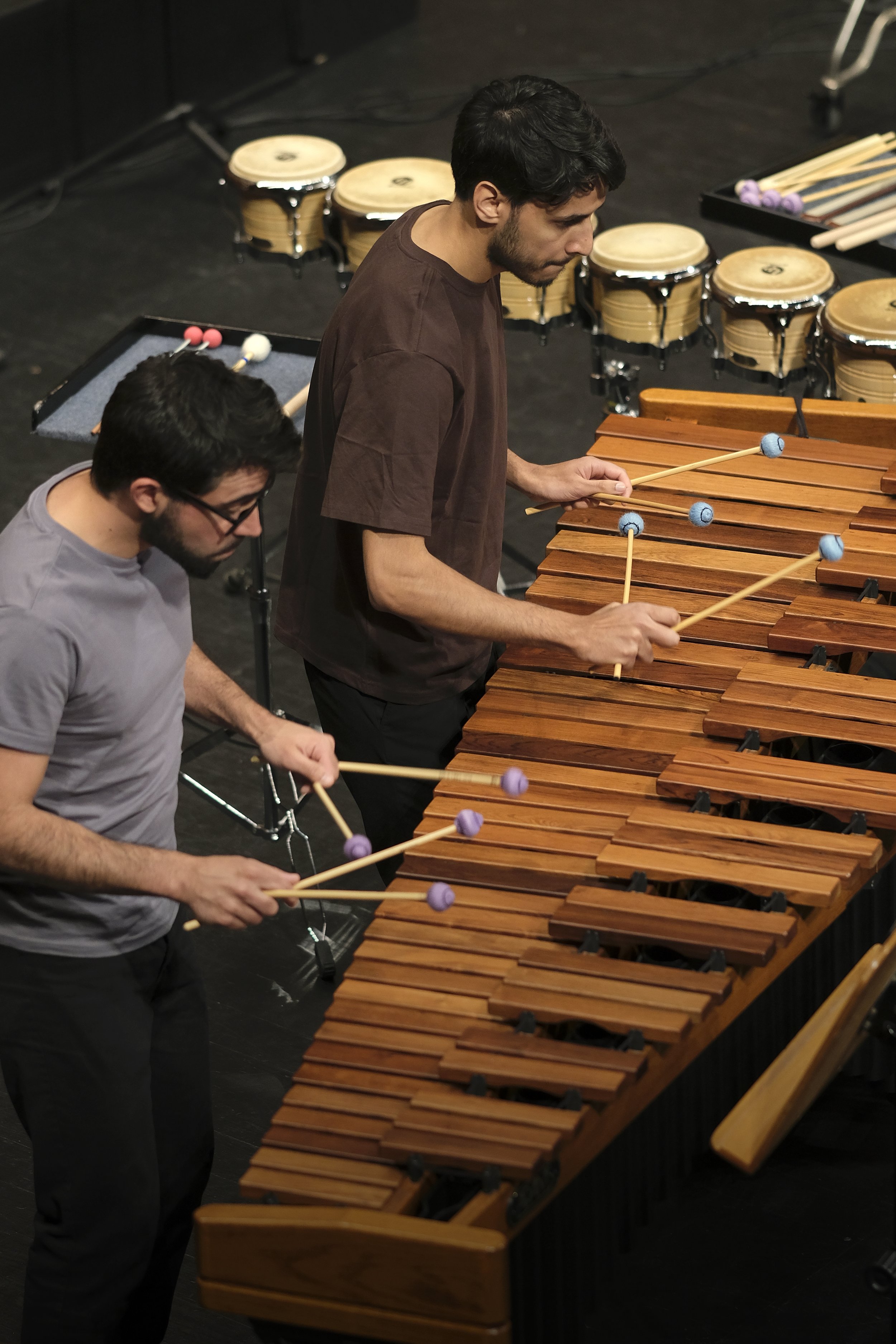 20260430_DesfazamentosSteveReich_PedroRosarioNunes_19.jpg