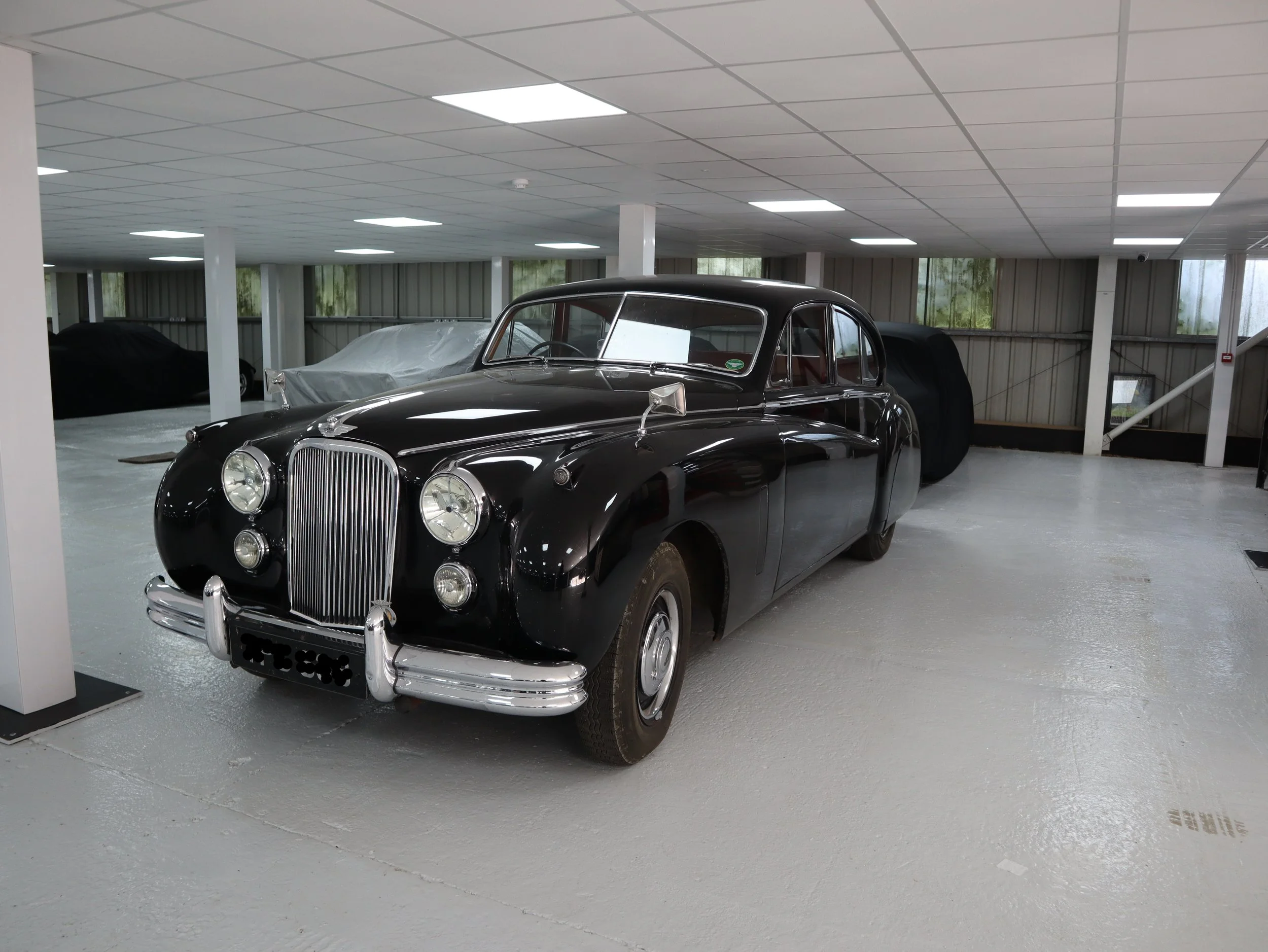 Jaguar storing