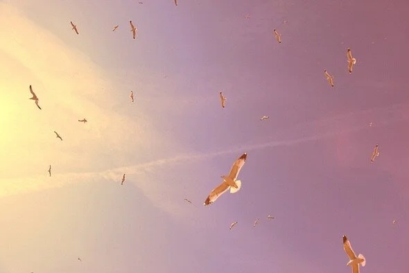 Creating A Minimalist Lifestyle