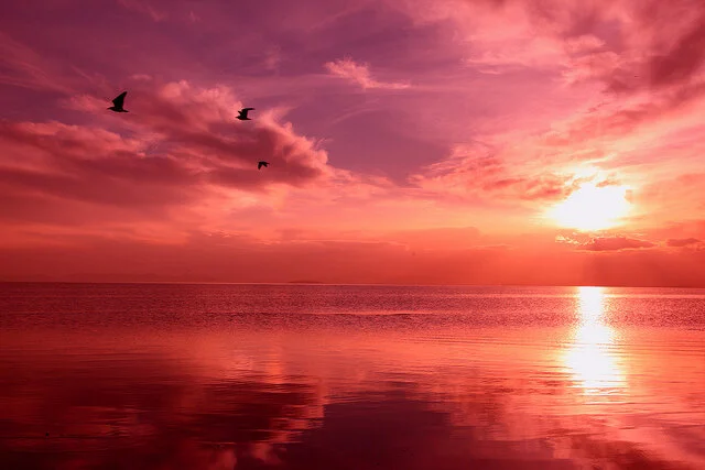 Living With Less Heals Our Life & The Planet