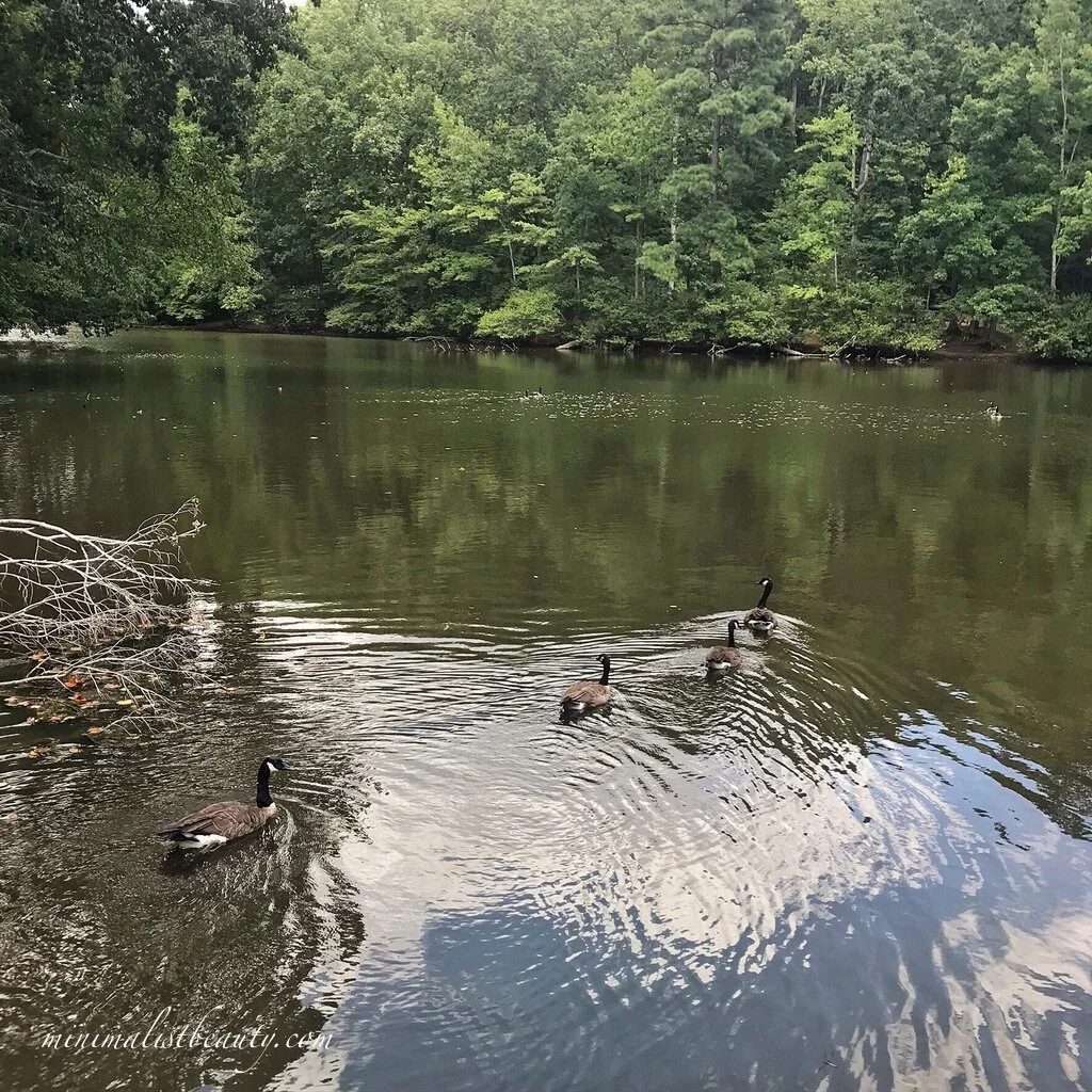 5 Earth Day Resolutions