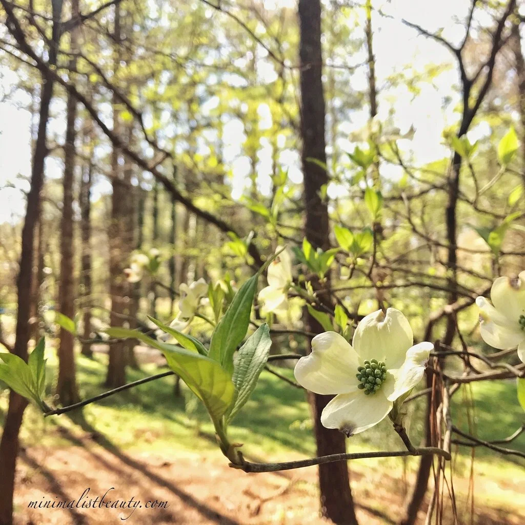 OMG! $20,000 in Debt Down to $770