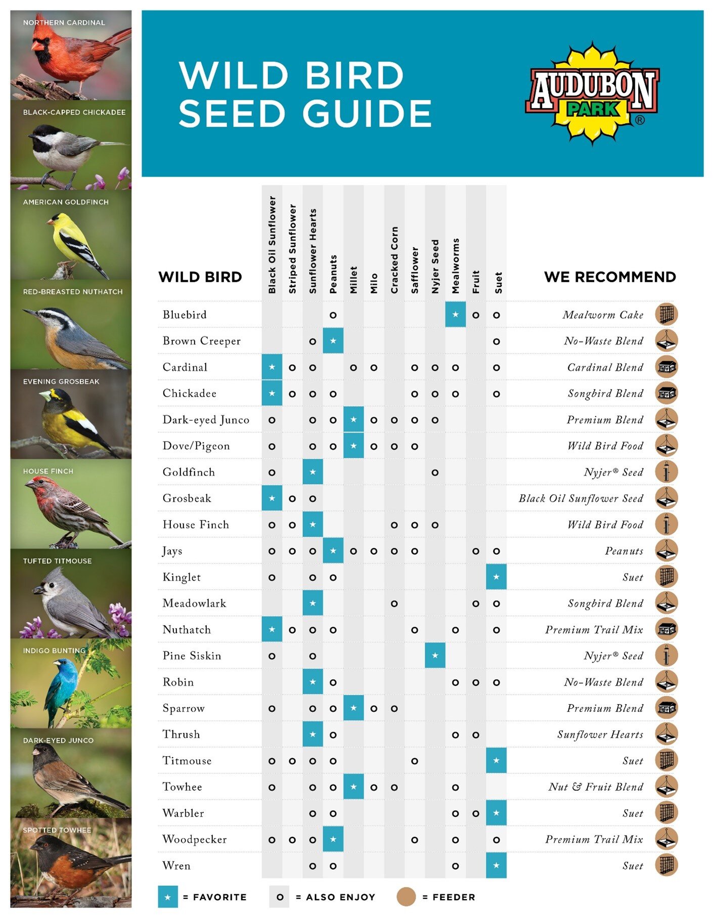 Bird Feeding Tips — Tropical Audubon Society