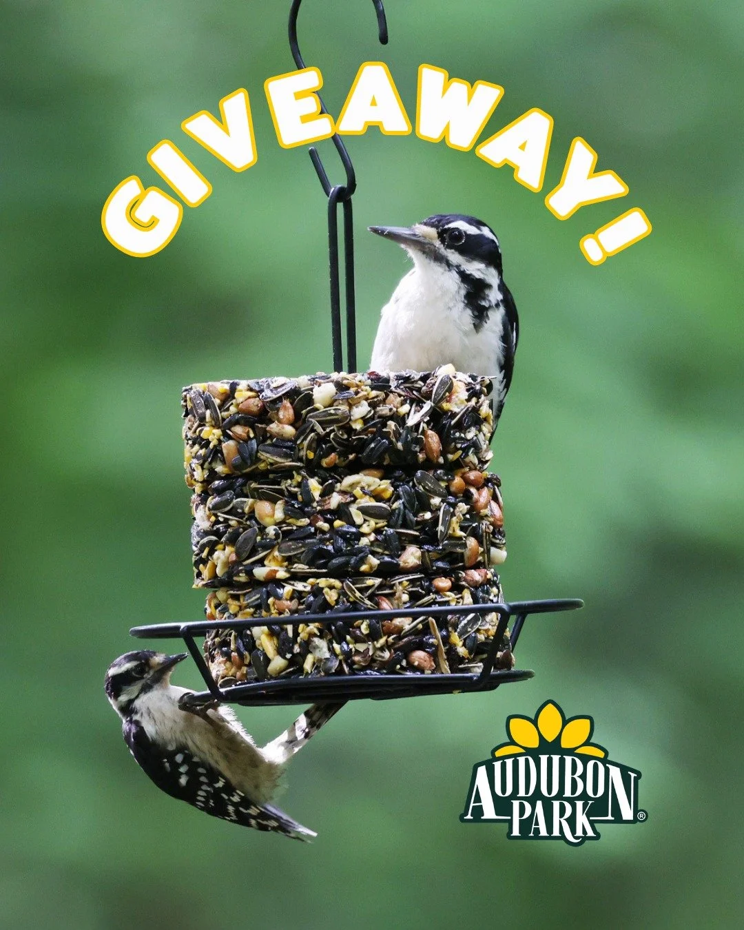 Did you know that birdwatching and bird songs have a positive effect on mental health? 🎶🐦 In honor of Mental Health Awareness Month, we're giving away Audubon Park Snack Stacks and Feeders to help YOU enjoy all the beauty and benefits of backyard b