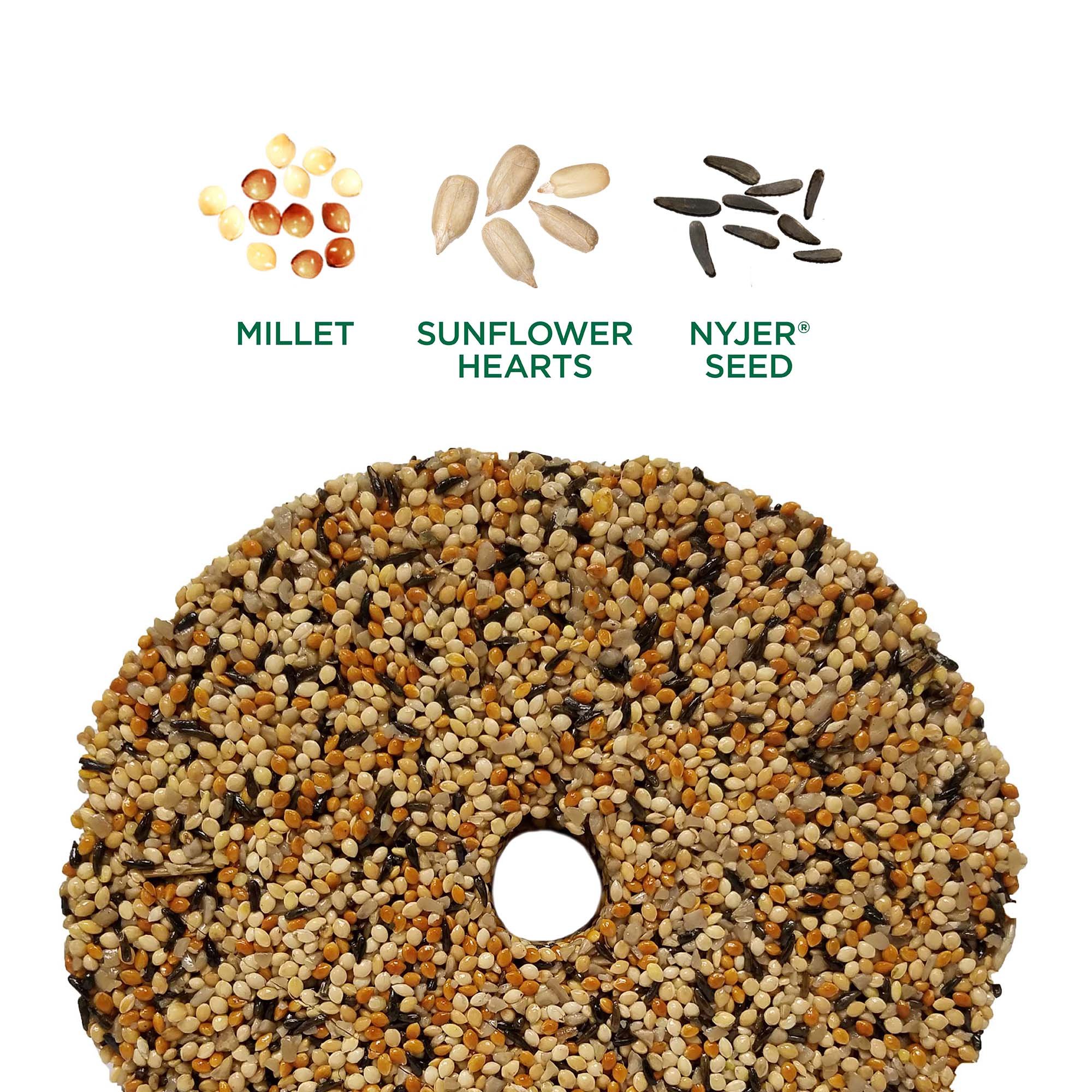 snack-stack-wild-finch-seeds.jpg