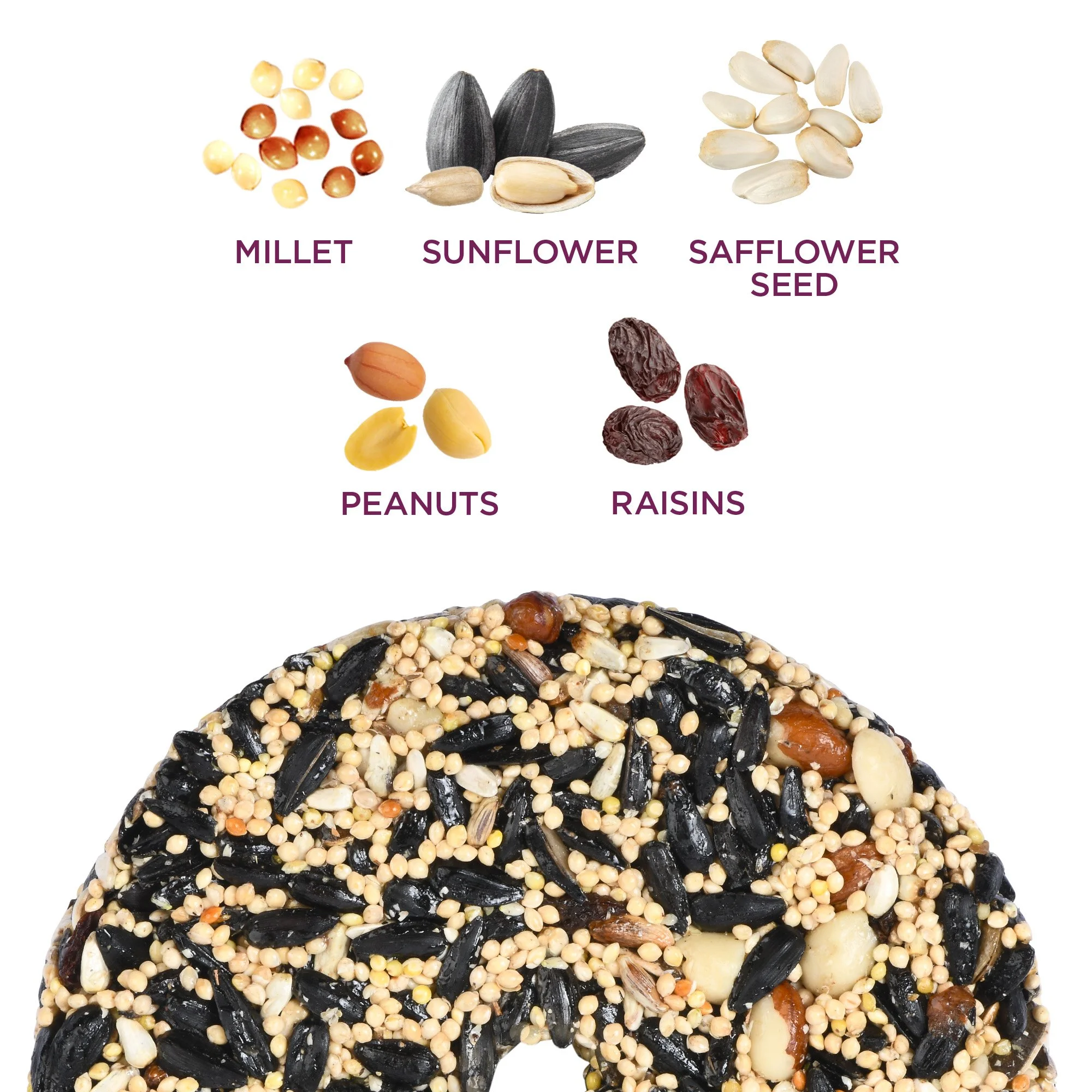 snack-stack-nut-fruit_3-seed-circle.jpg