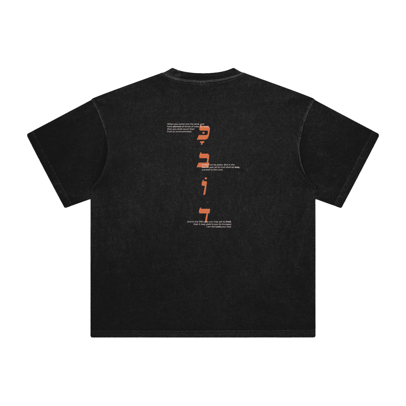 squarespace-upload-temp-2025-05-06-0fb7508f-9324-42b8-a9c6-dd93ce39bbc33751538146014370604.png