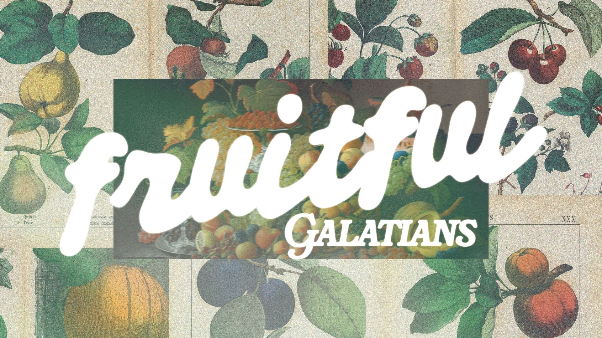 Galatians 4: The Old gods