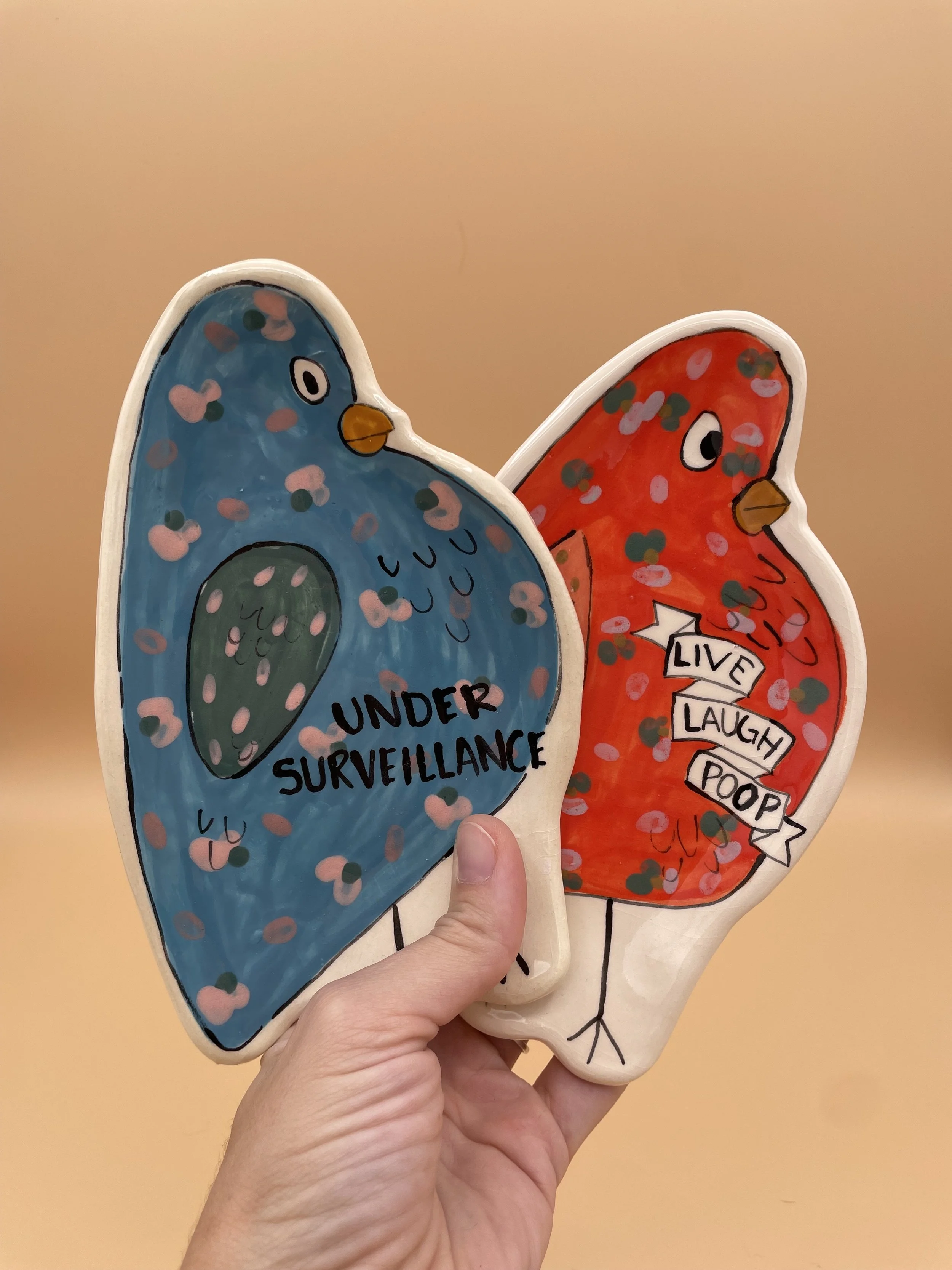 Surveillance pigeons! Pigeon plates