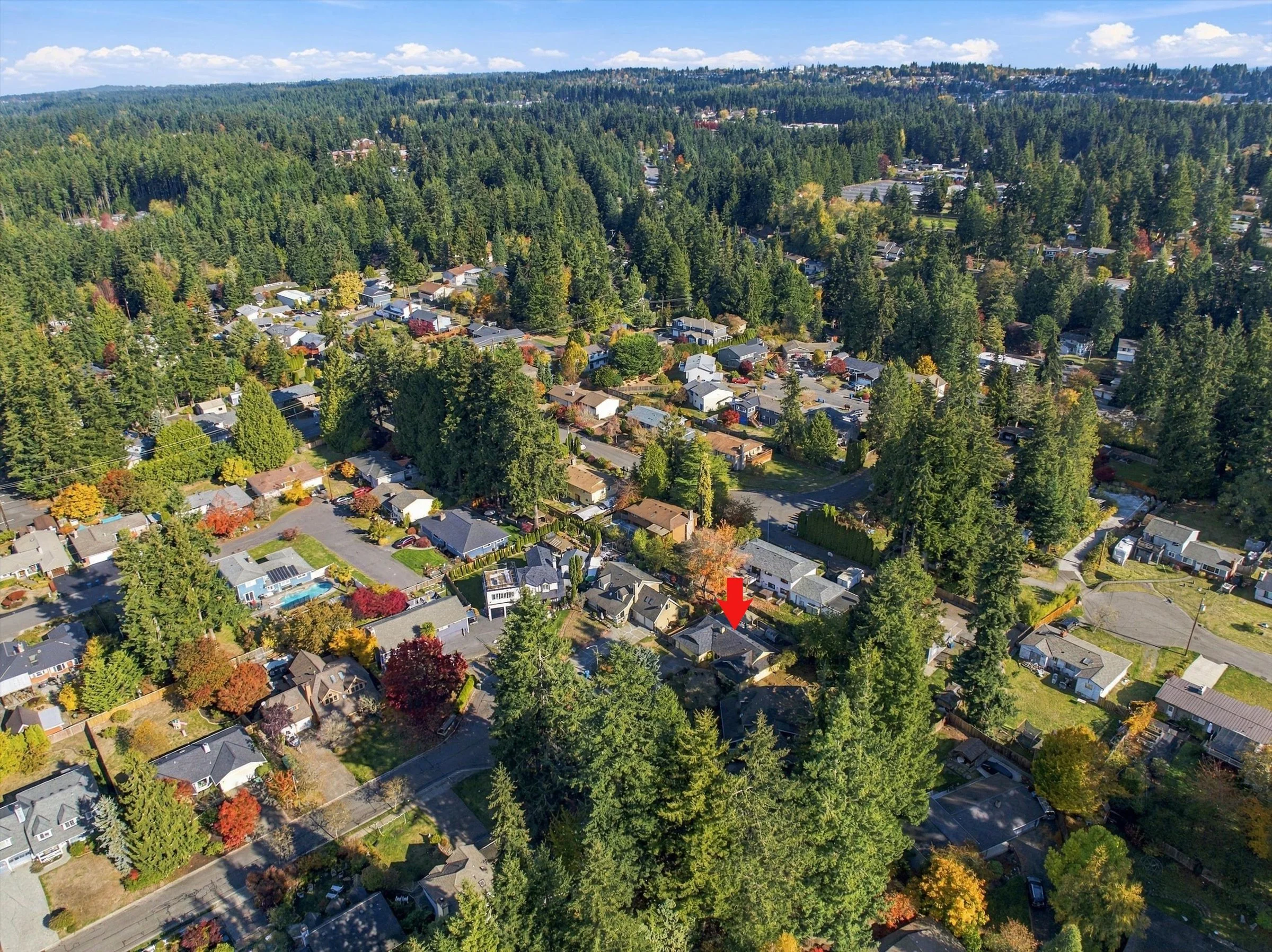7002 177th Street SW Edmonds WA (53).jpg