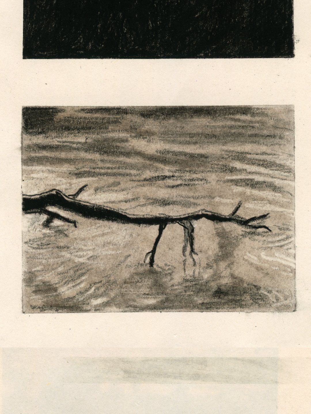 17. branche_eau.jpg