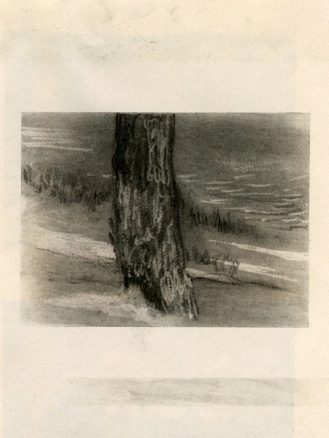 9. arbre_plage.jpg