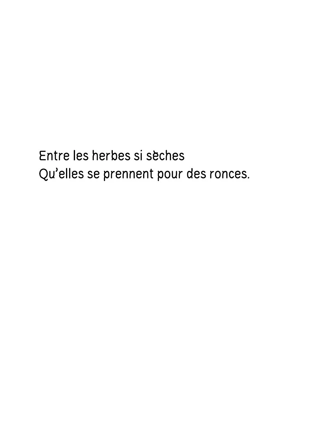 12. para2_bis.jpg