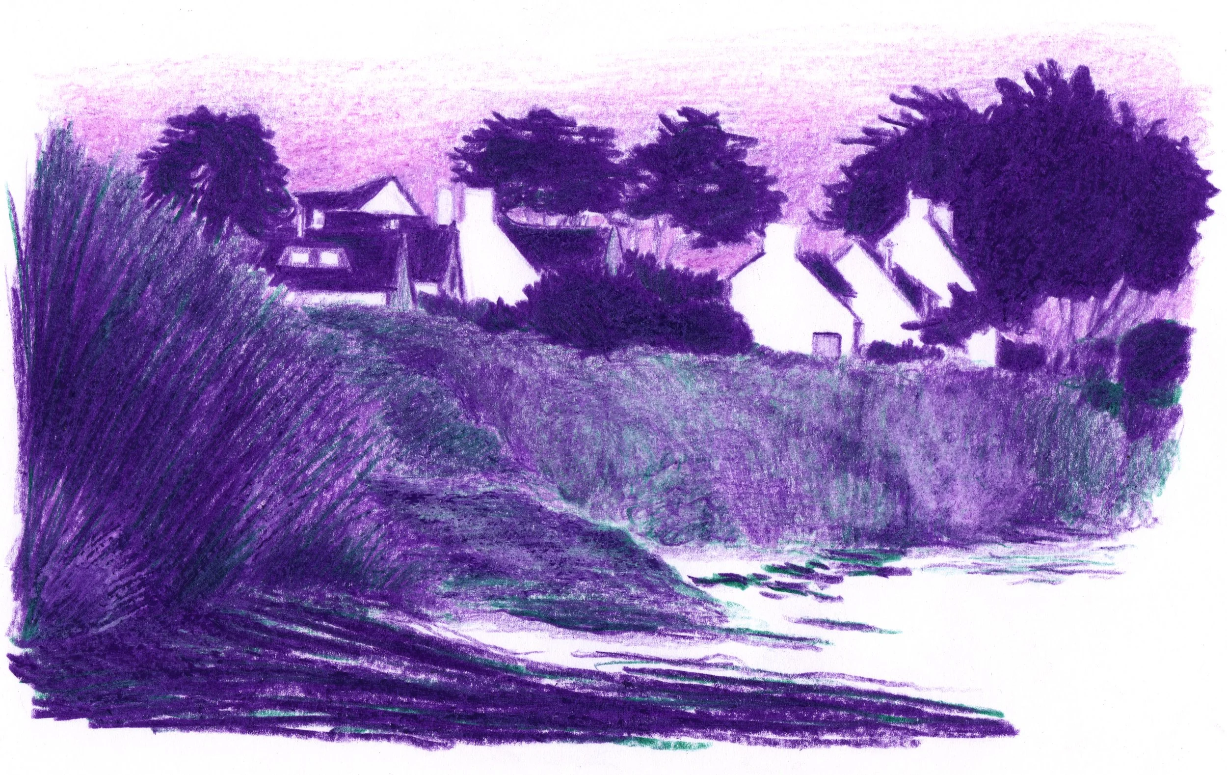 plan_largeOK2_site.jpg