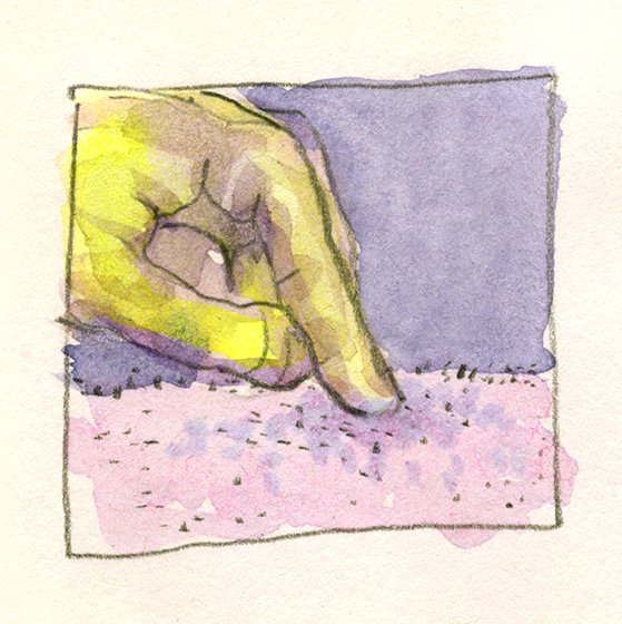 toucher_crop2.jpg