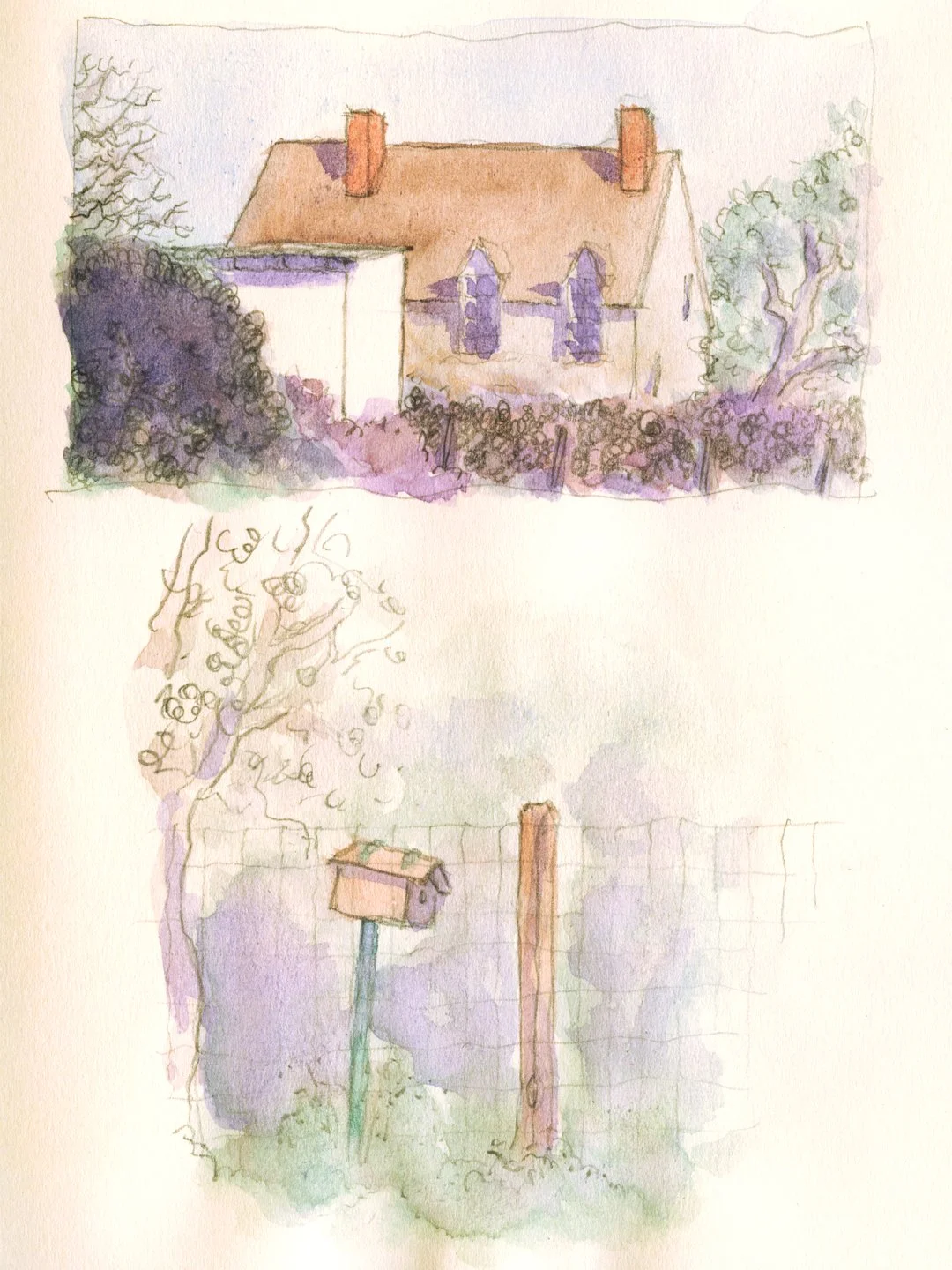 jardin_LN.jpg